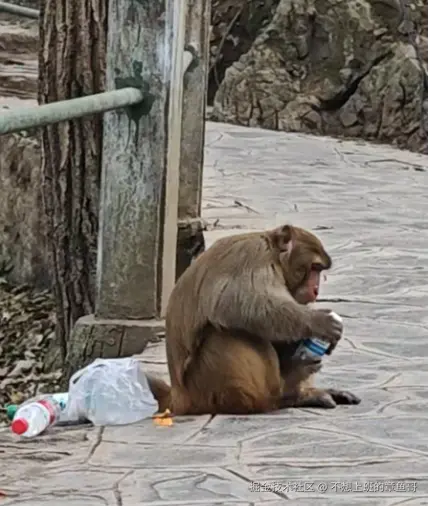 不想上班的章鱼哥于2025-01-07 15:02发布的图片