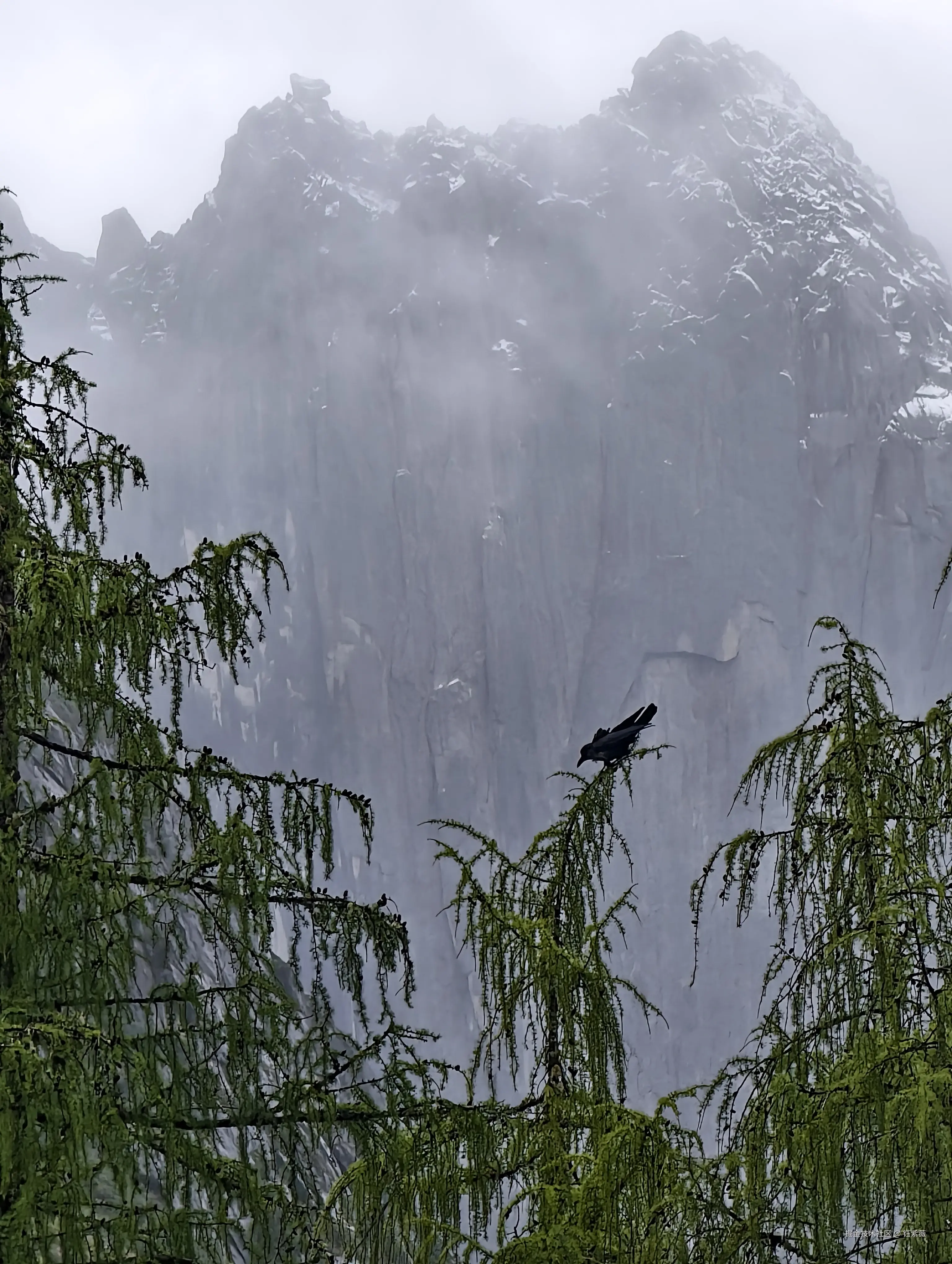 钰紫薇于2025-09-16 09:31发布的图片