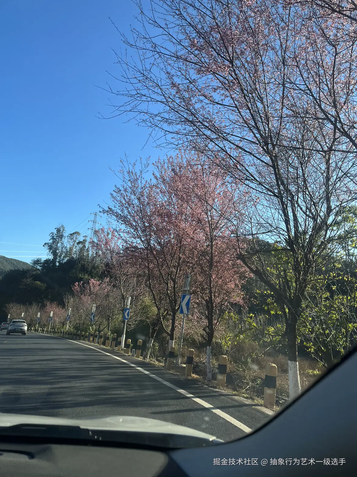 抽象行为艺术一级选手于2025-12-23 09:15发布的图片