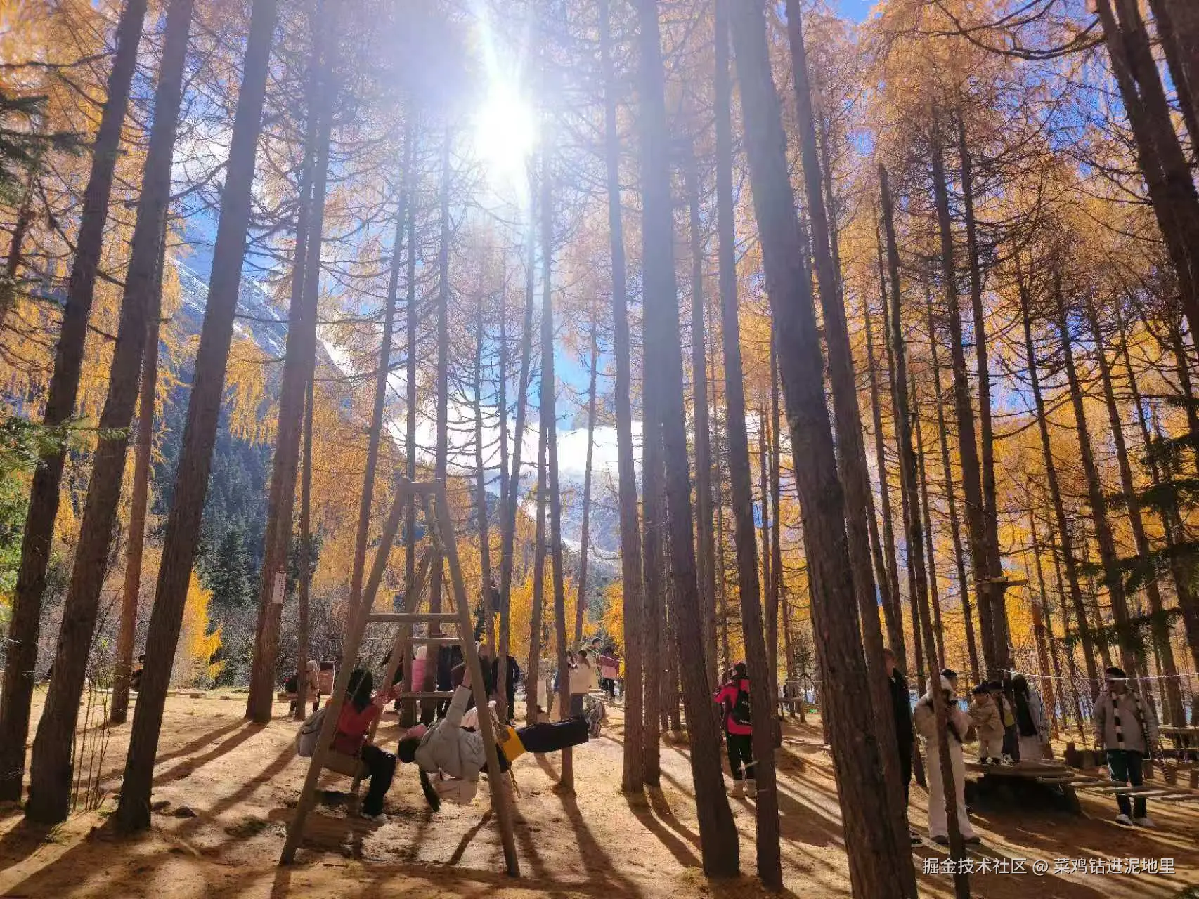 菜鸡钻进泥地里于2025-11-10 15:46发布的图片