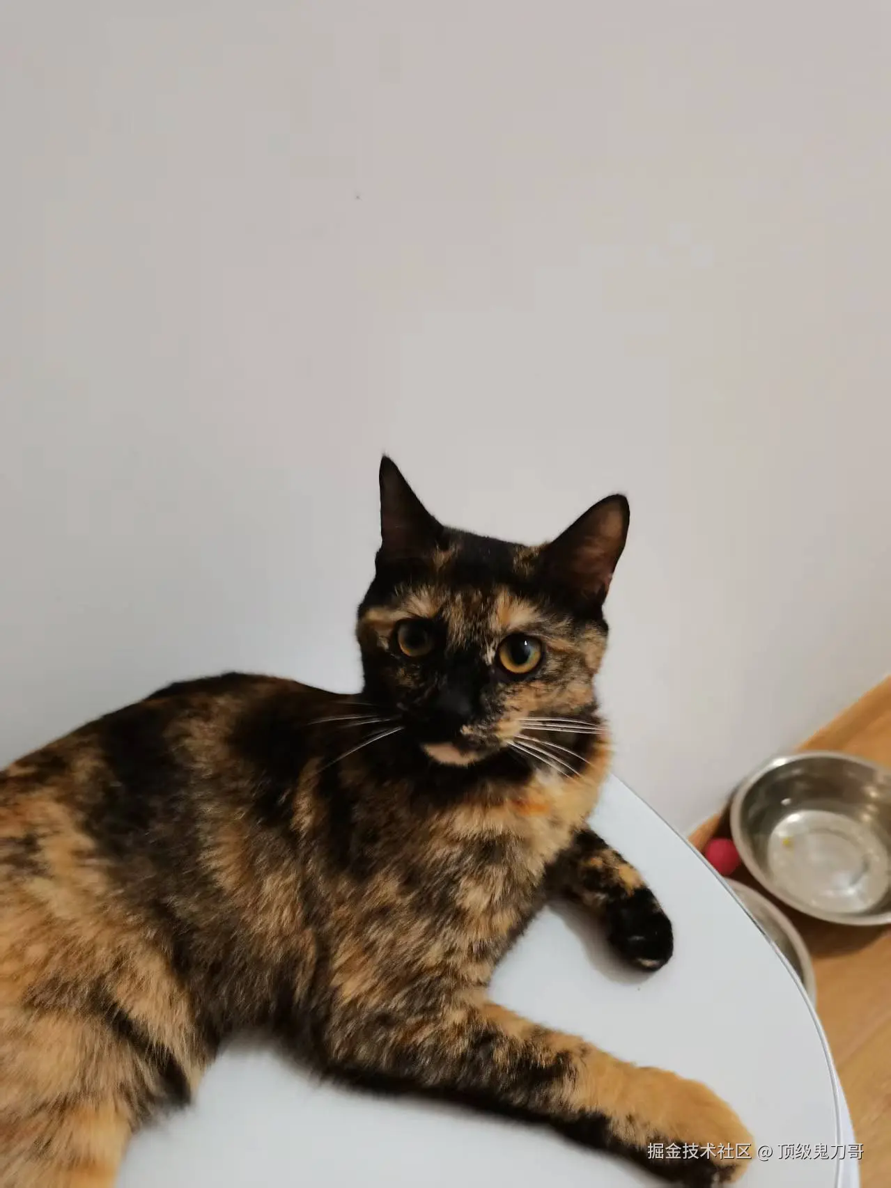 顶级鬼刀哥于2025-09-11 10:22发布的图片