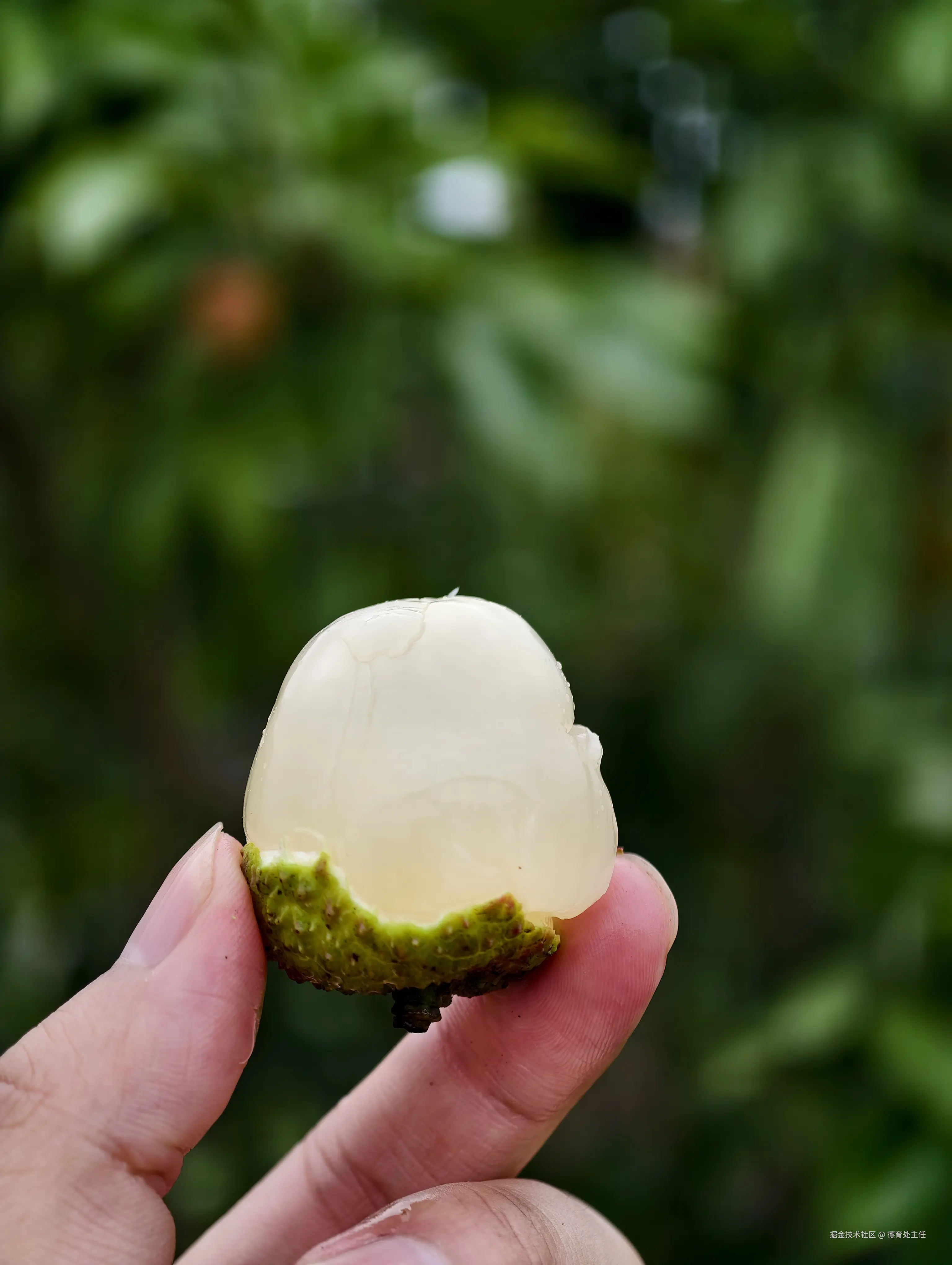 德育处主任于2025-05-29 16:01发布的图片