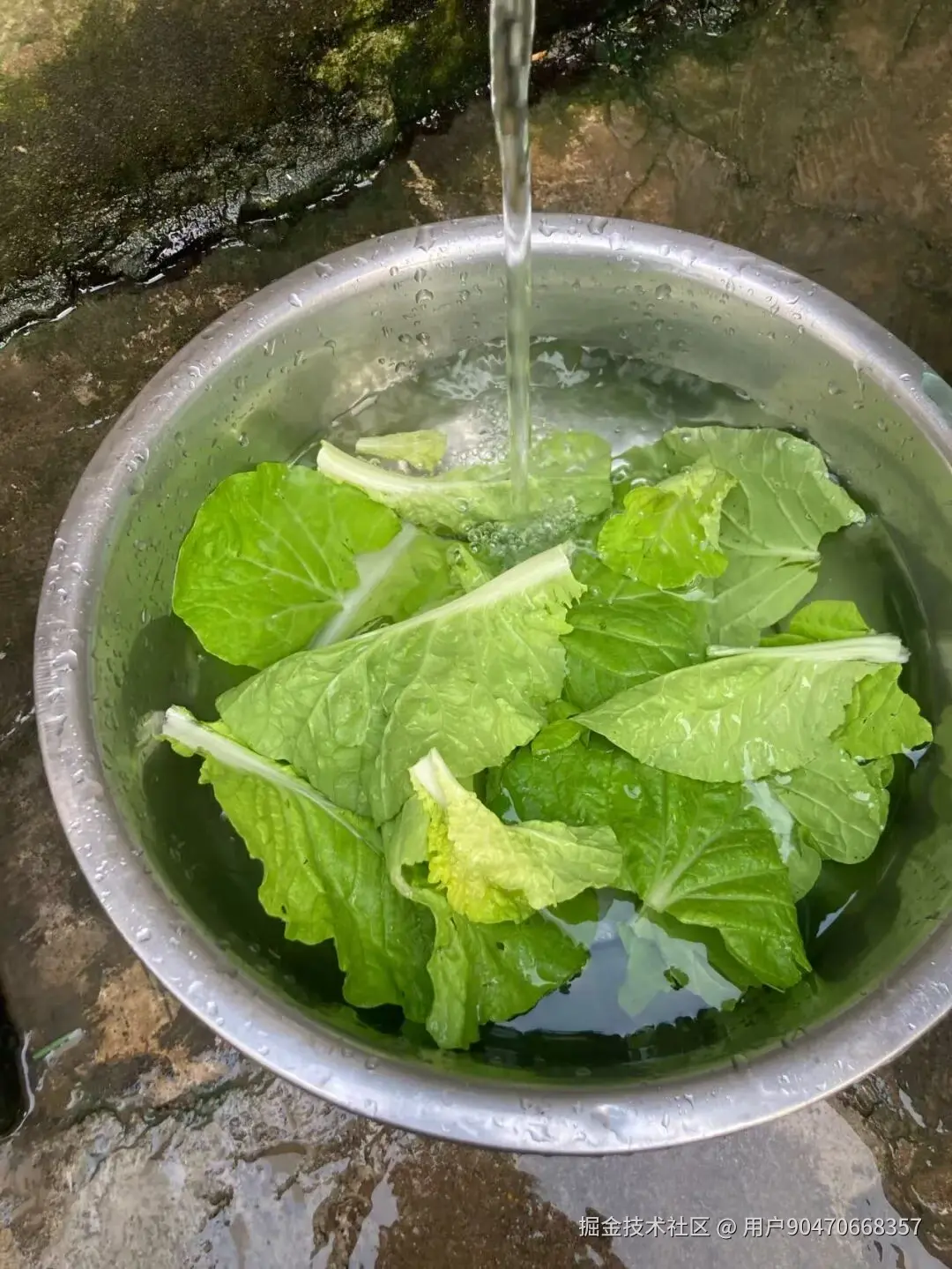 用户90470668357于2025-10-30 10:25发布的图片