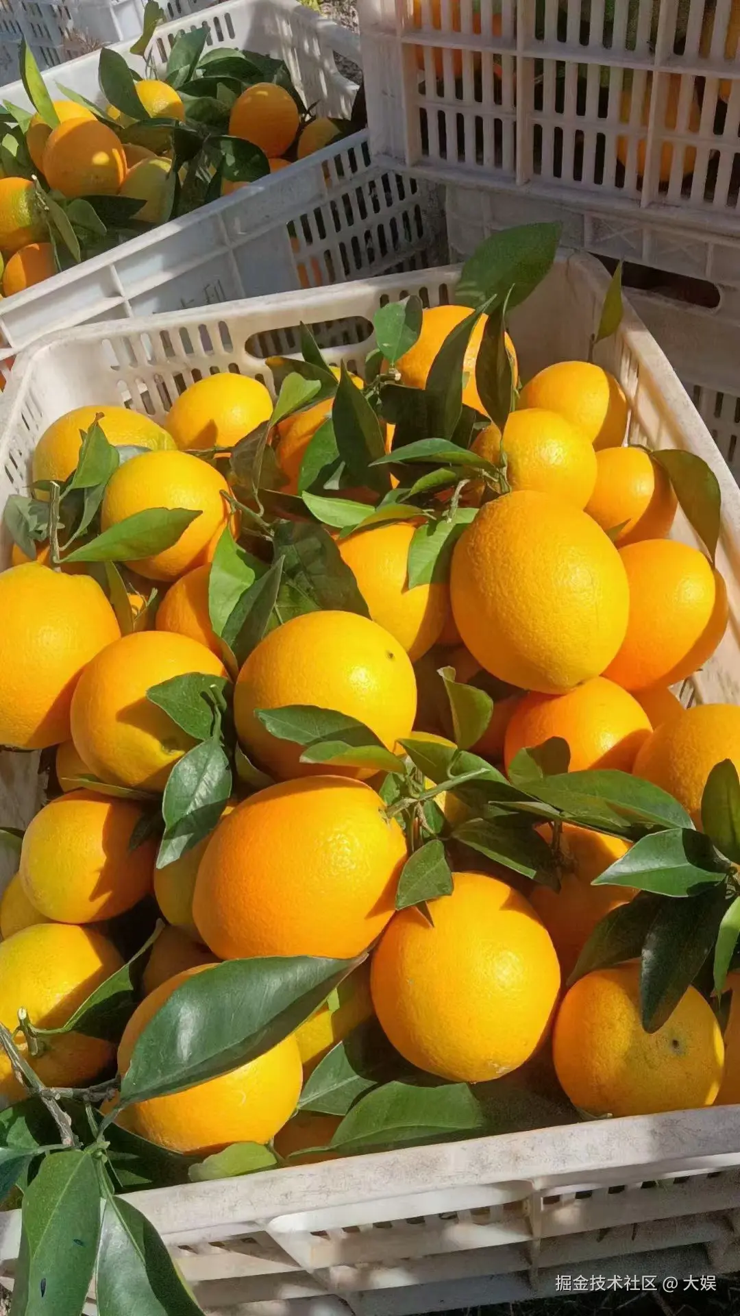 大娱于2024-11-21 15:23发布的图片