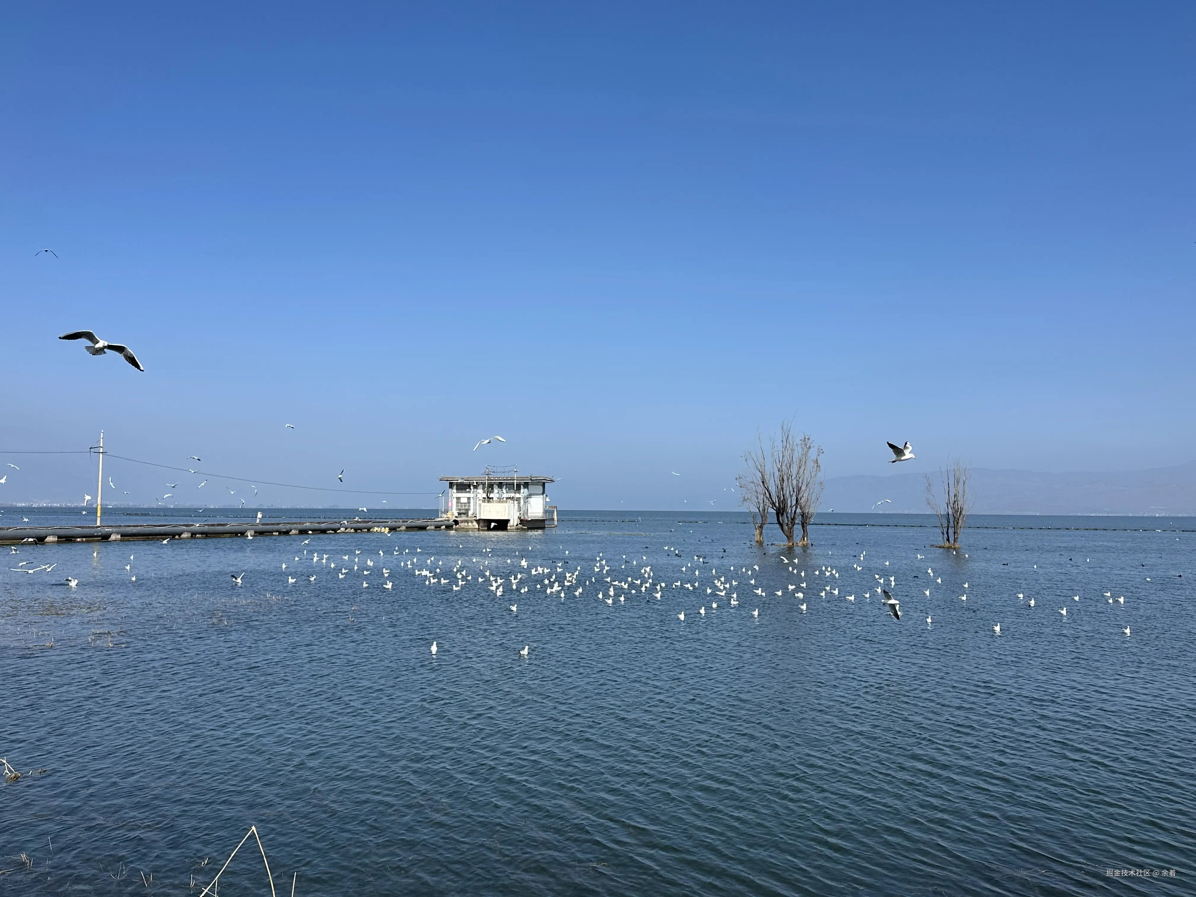 余着于2025-01-02 10:05发布的图片