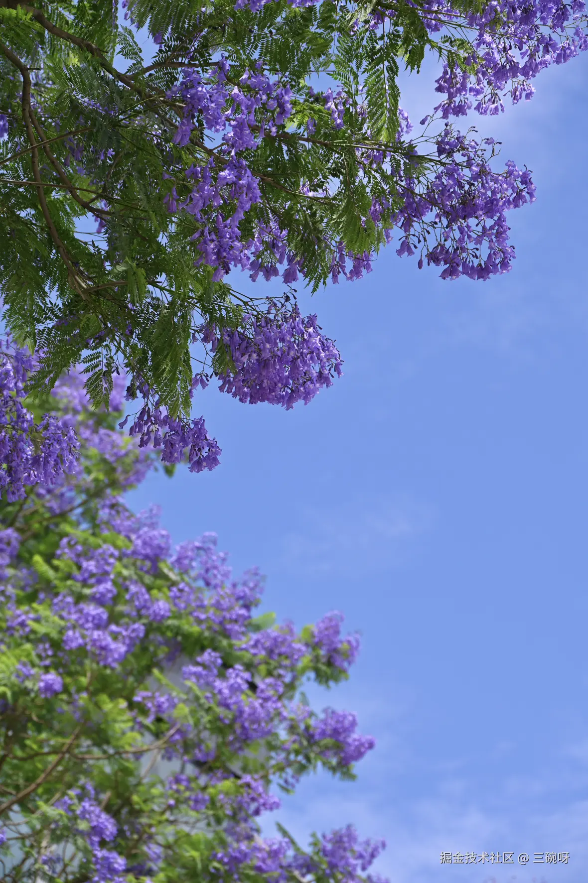 三碗呀于2025-05-26 02:33发布的图片