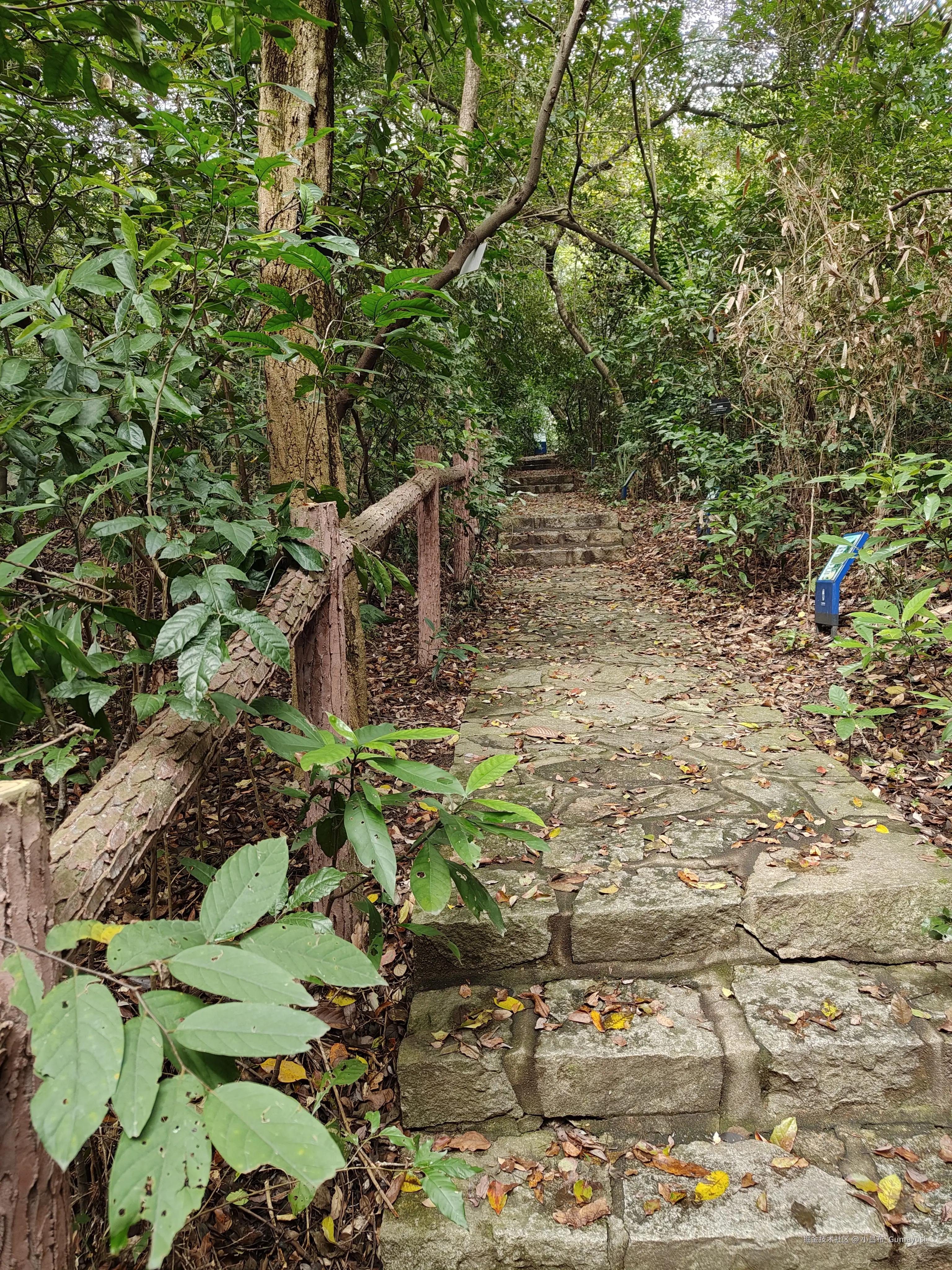 小吕布_Gumayusi于2025-03-10 09:53发布的图片