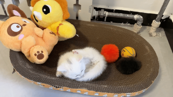 就爱吃火锅于2025-10-14 10:05发布的图片