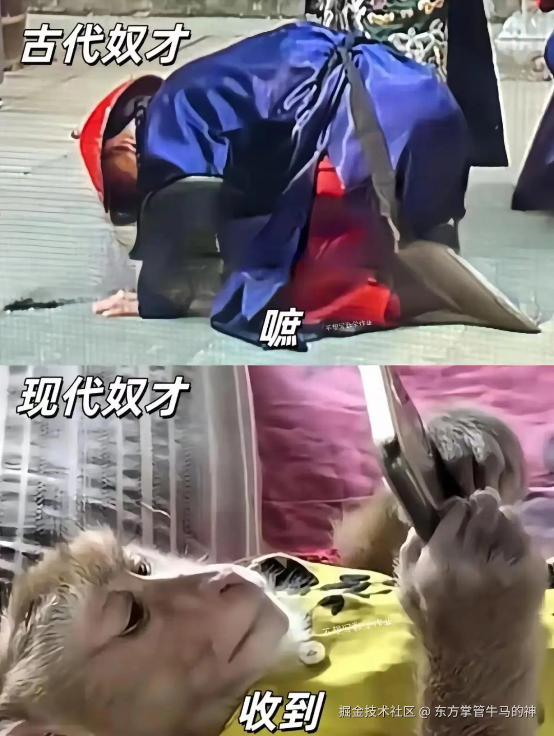 东方掌管牛马的神于2024-07-30 16:50发布的图片