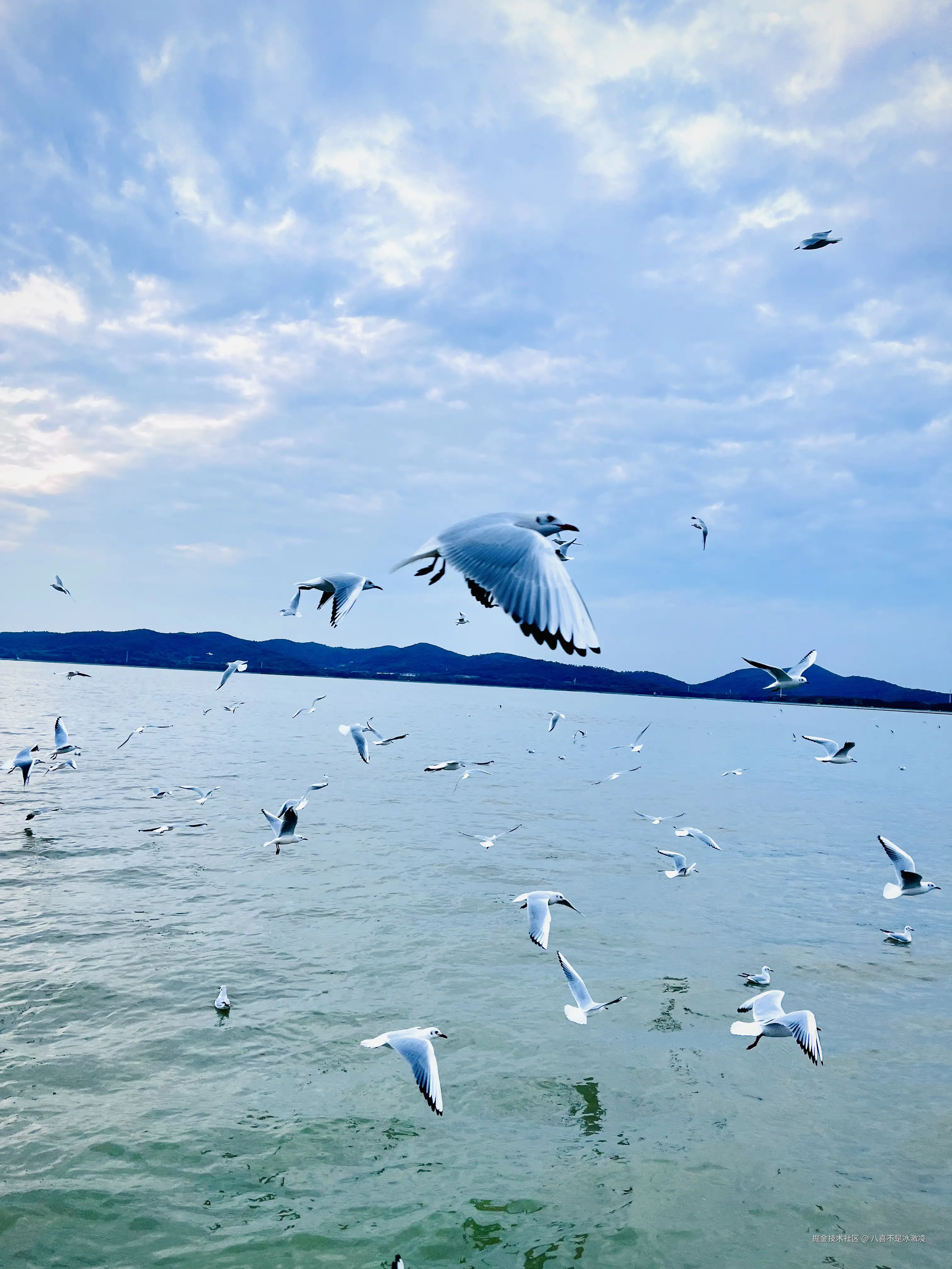 八喜不是冰激凌于2024-11-25 09:56发布的图片