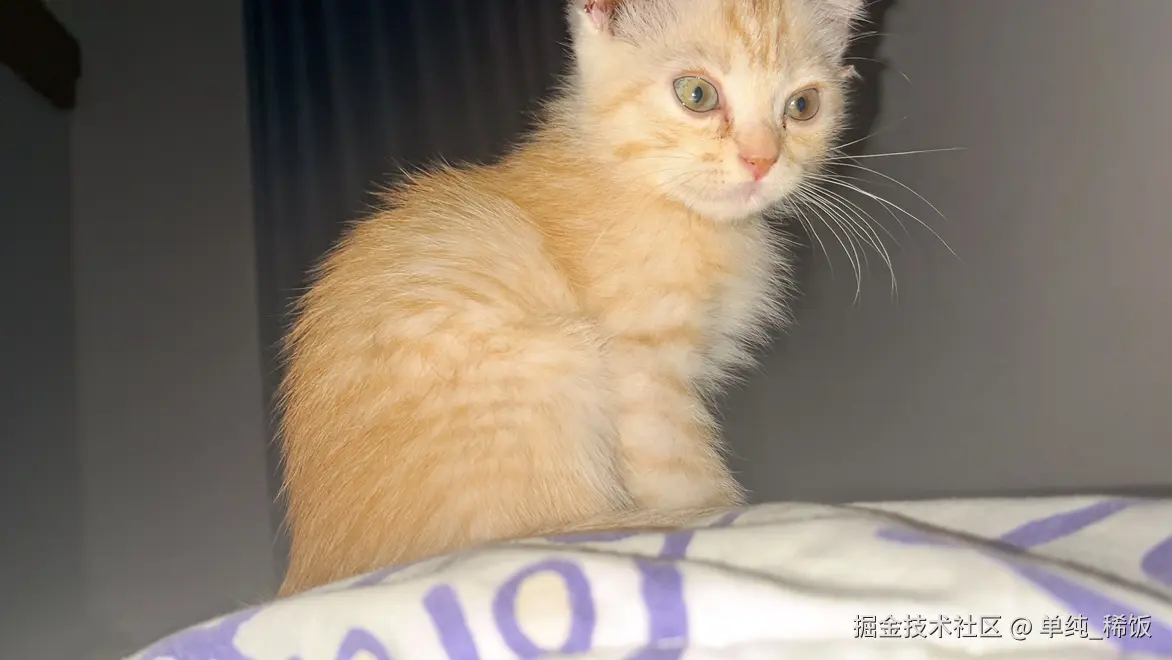 单纯_稀饭于2025-03-13 11:26发布的图片