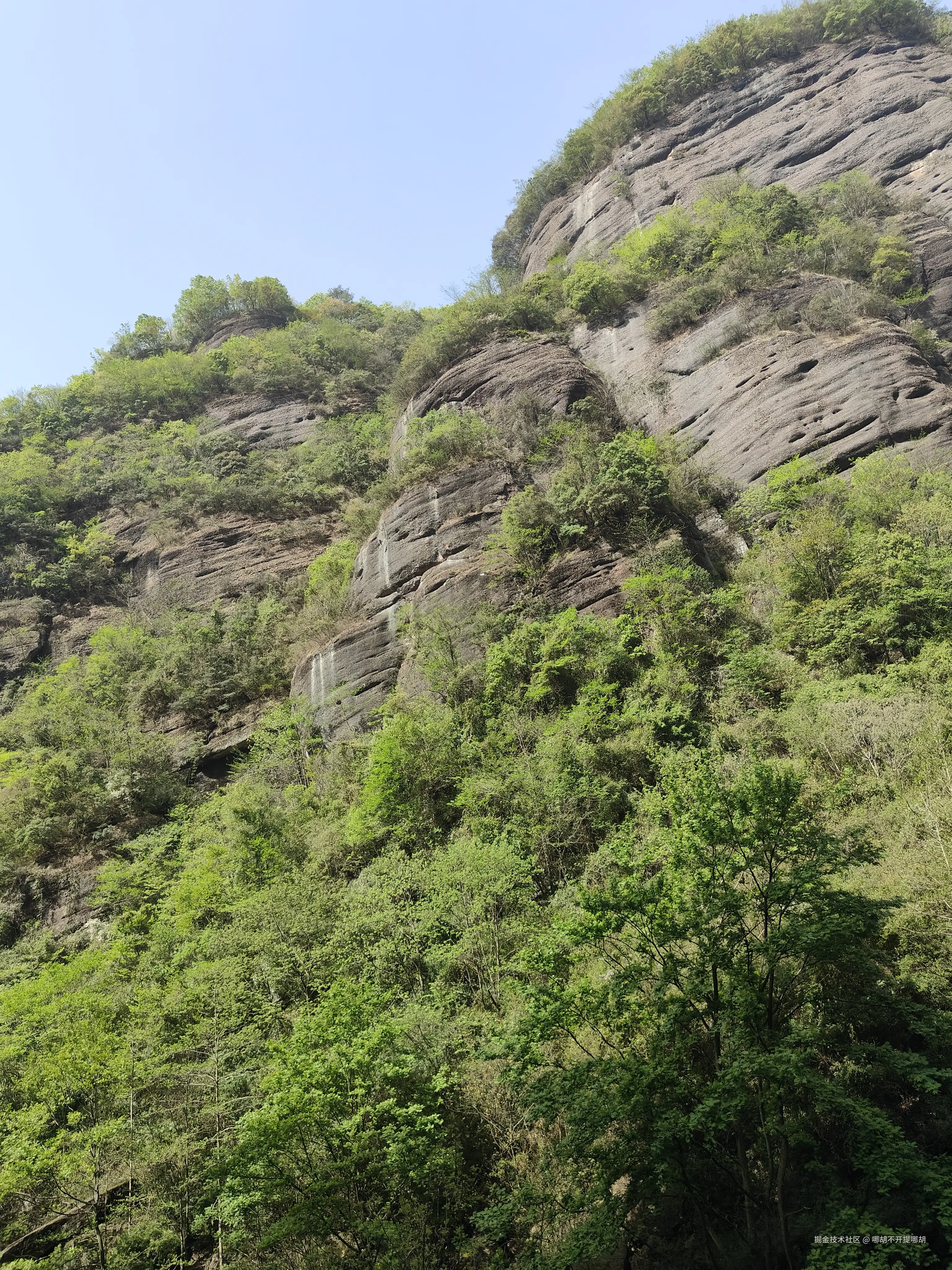 哪胡不开提哪胡于2025-04-14 08:41发布的图片