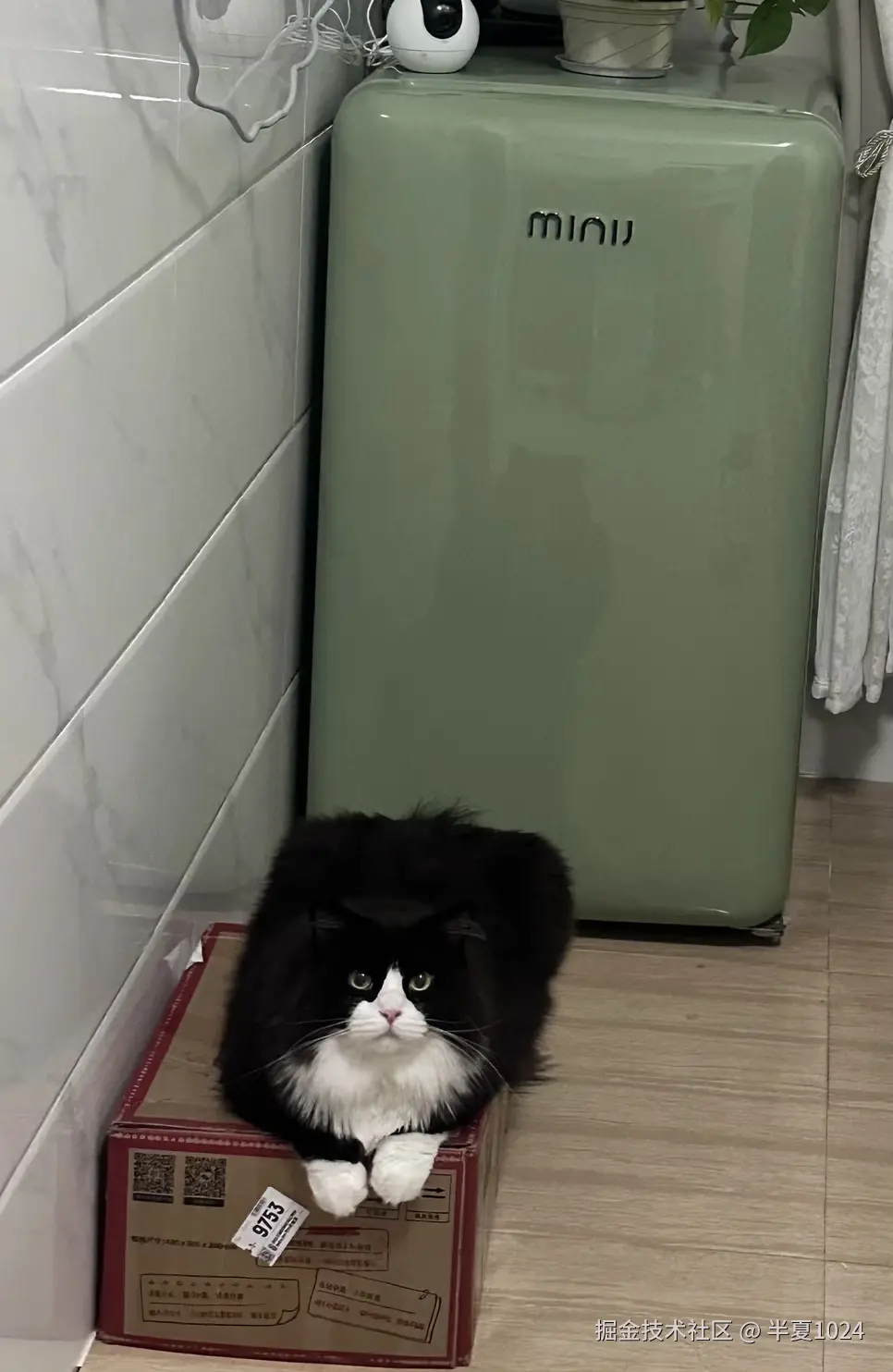 半夏1024于2024-11-12 09:34发布的图片