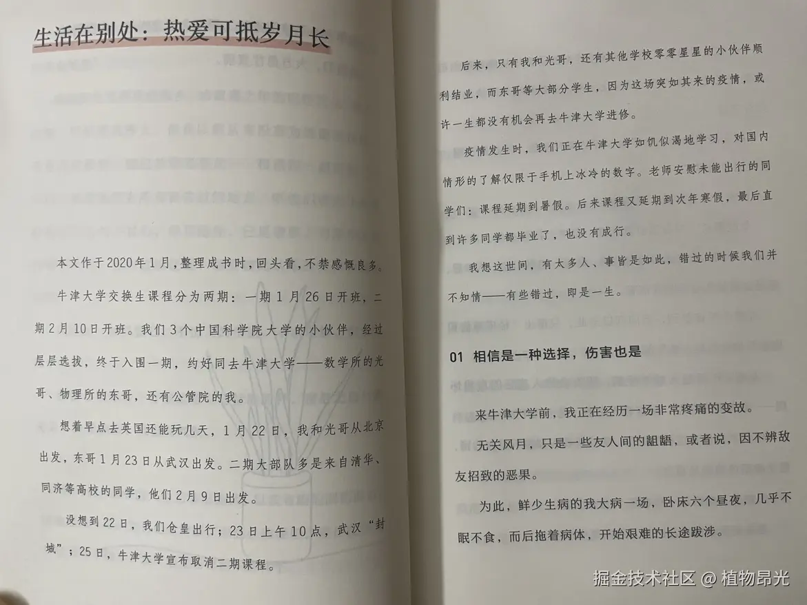 植物昂光于2026-08-12 13:54发布的图片