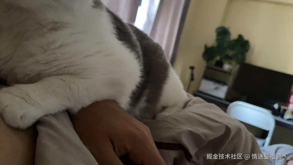 情迷曼哈顿丶于2025-06-25 09:21发布的图片