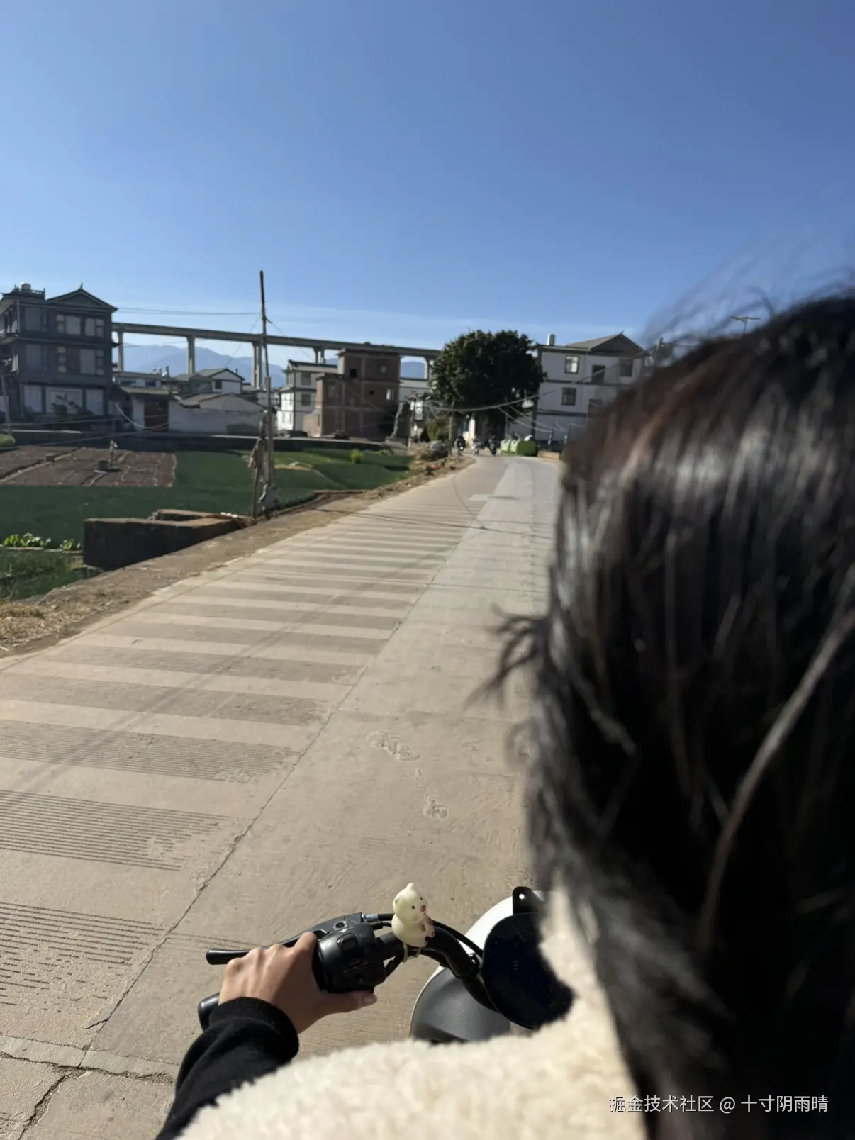 十寸阴雨晴于2026-02-06 11:51发布的图片