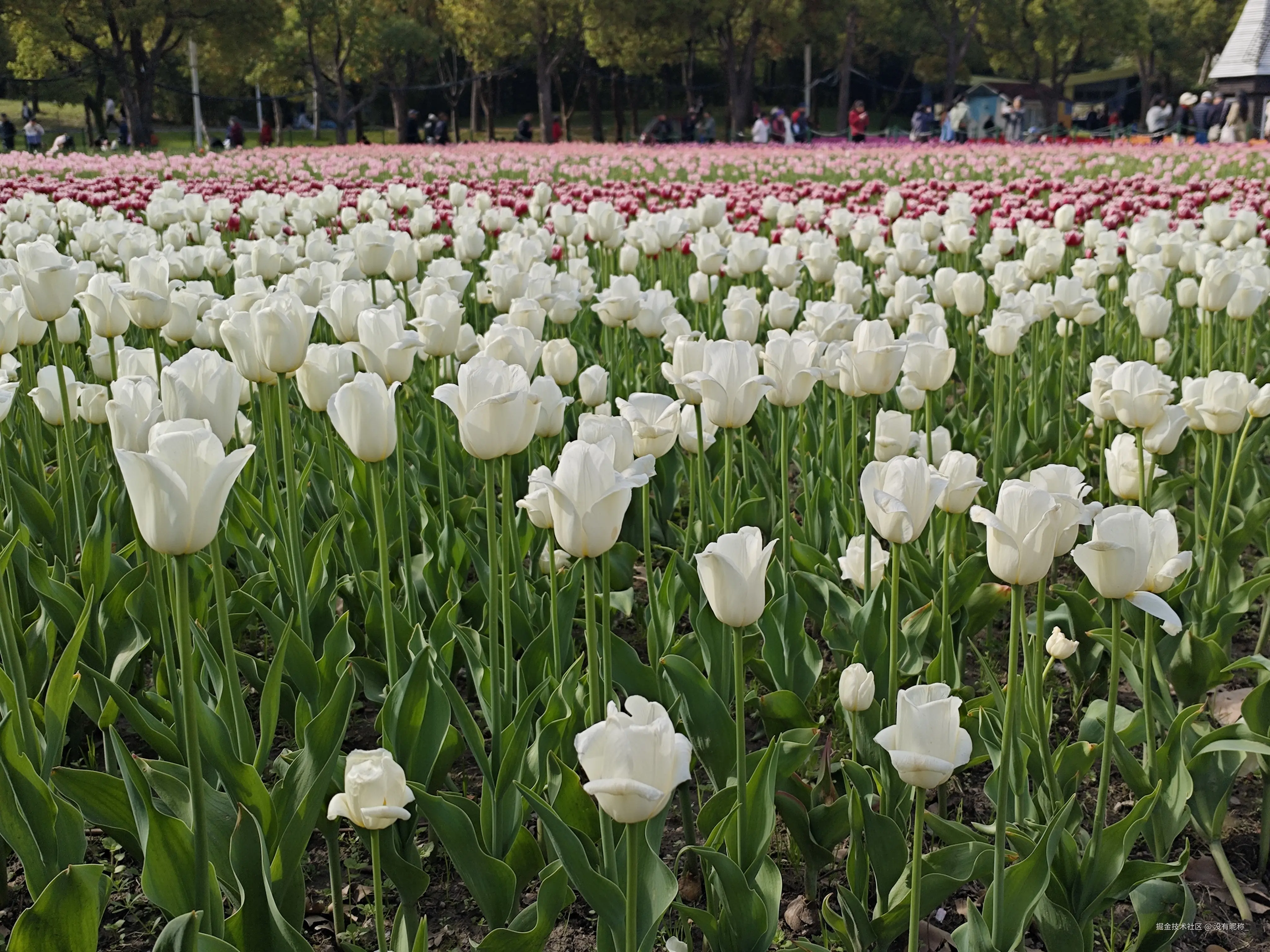 没有昵称_于2025-03-31 14:27发布的图片