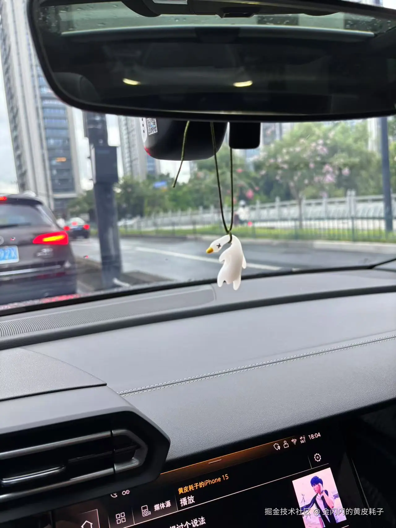 金闪闪的黄皮耗子于2025-07-09 14:52发布的图片