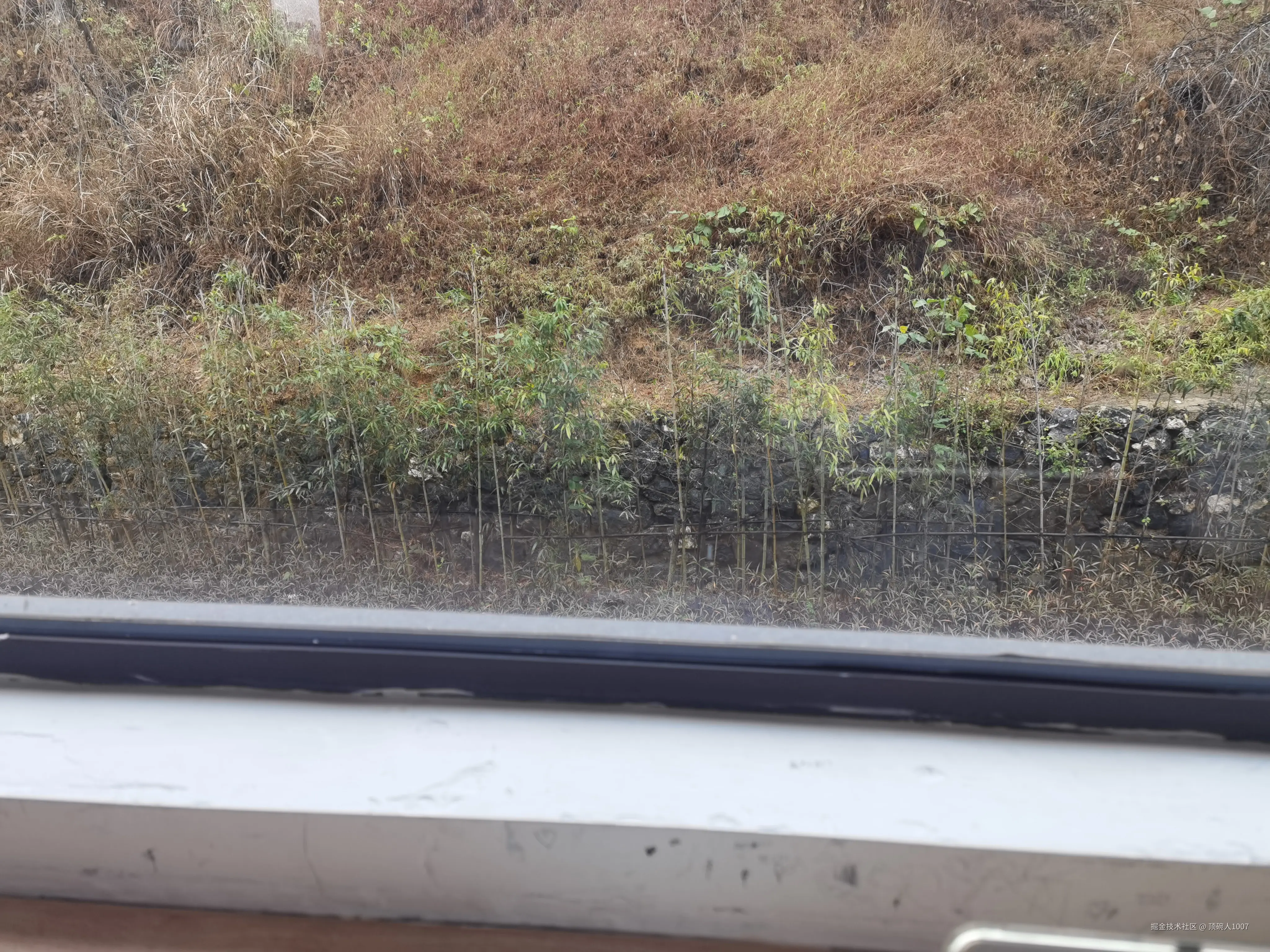 顶碗人1007于2026-03-01 12:13发布的图片