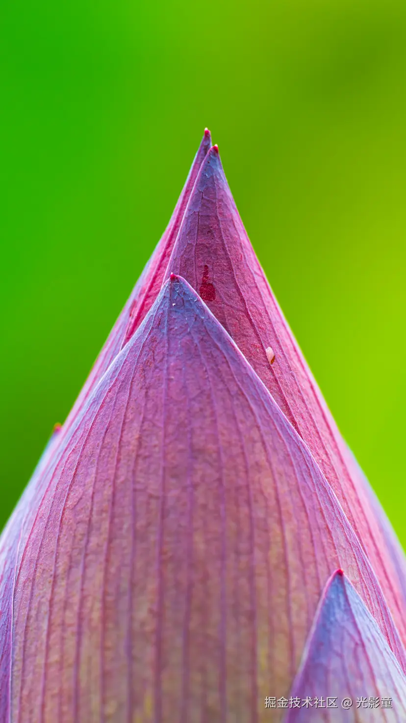 光影童于2025-08-05 08:23发布的图片