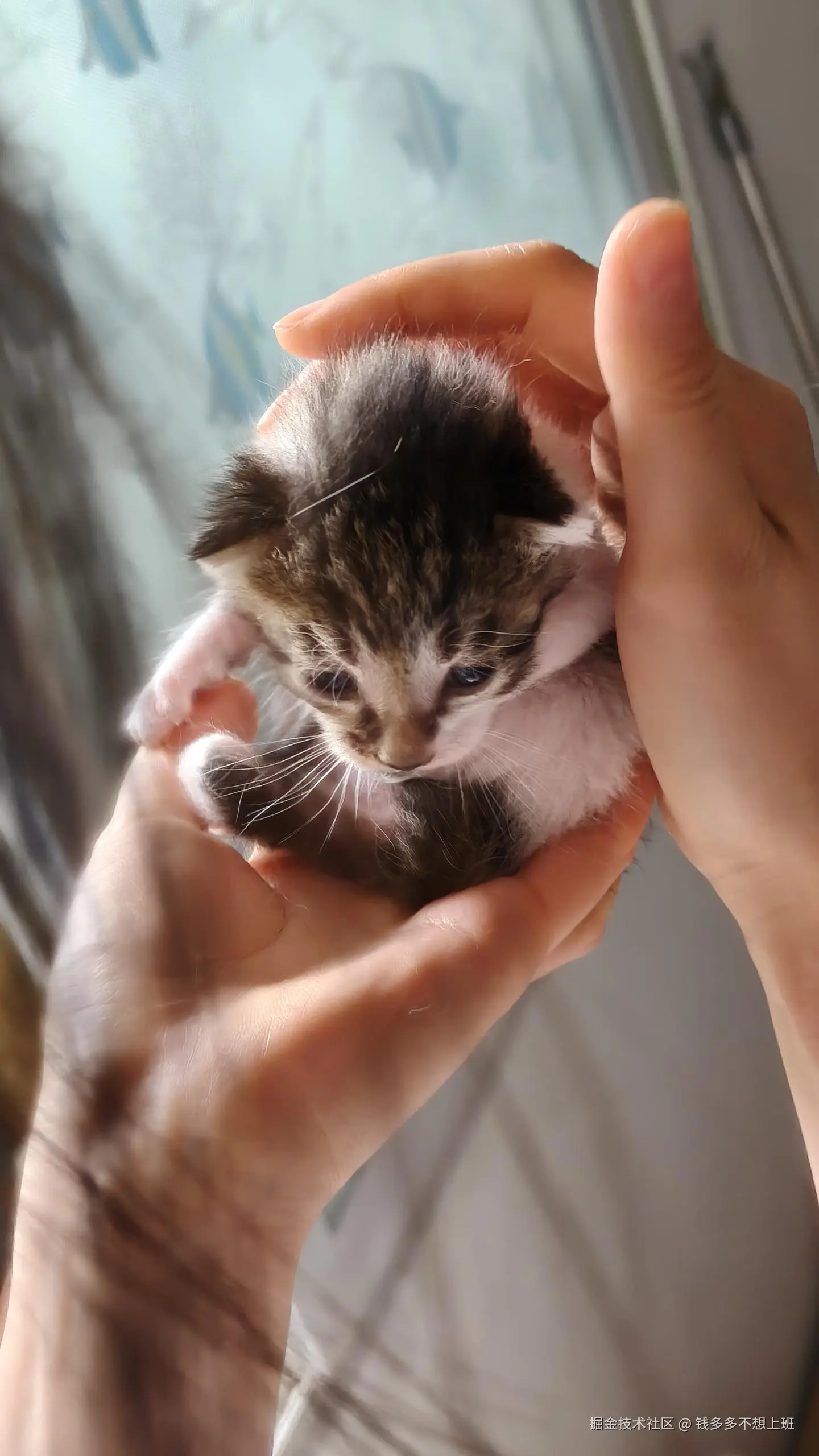 钱多多不想上班于2025-05-08 14:51发布的图片