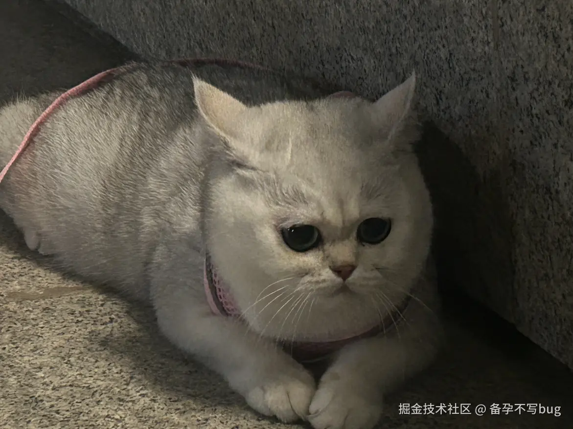 备孕不写bug于2025-05-13 03:20发布的图片