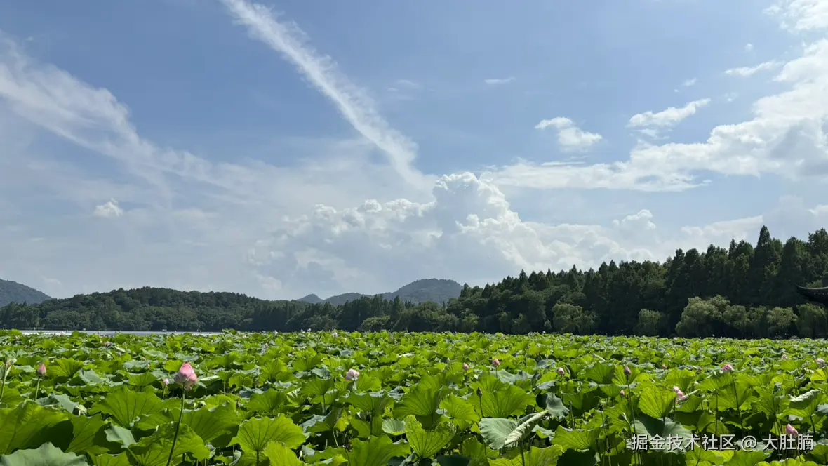 大肚腩于2025-07-14 11:50发布的图片