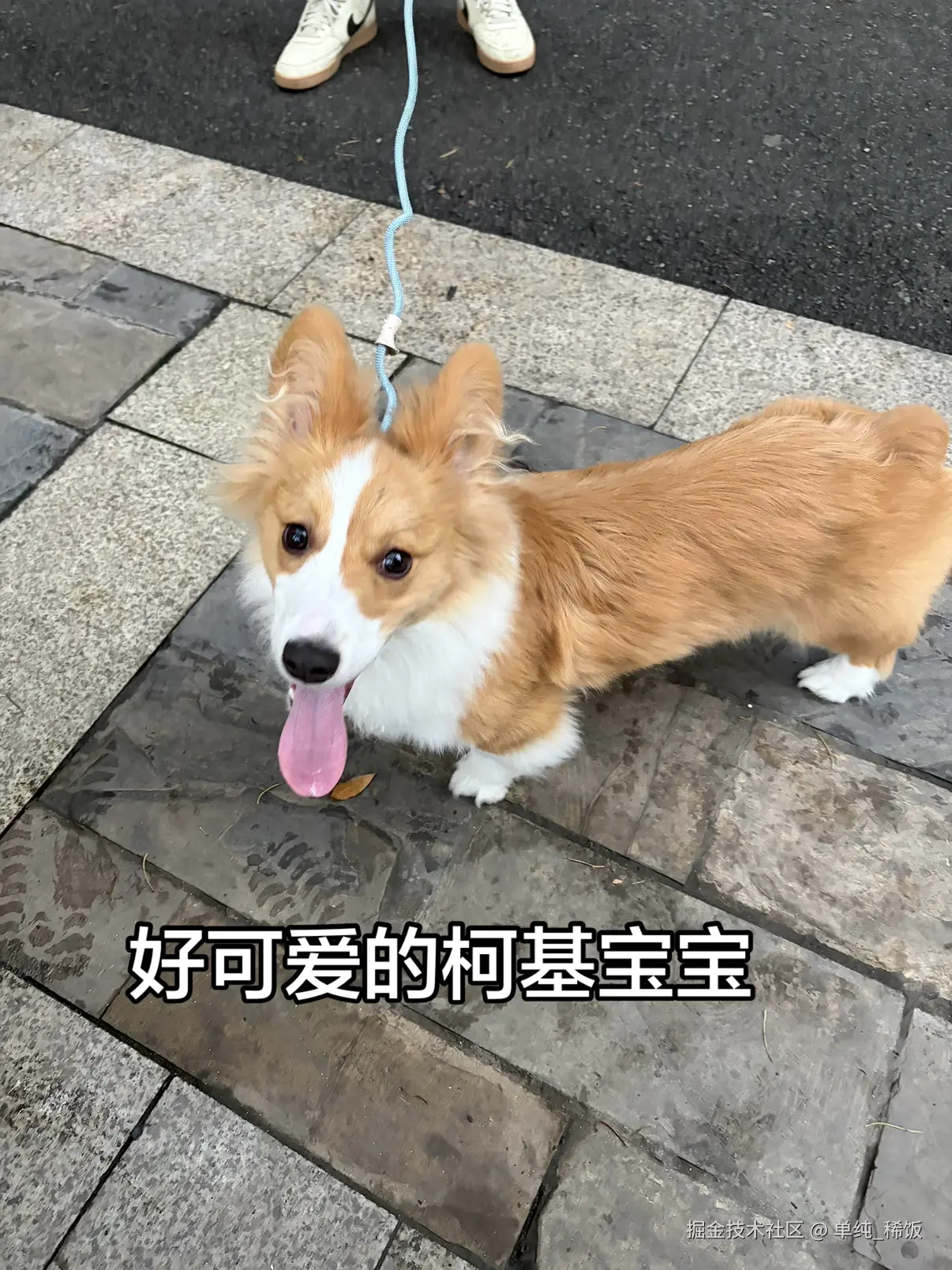 单纯_稀饭于2026-03-31 08:18发布的图片