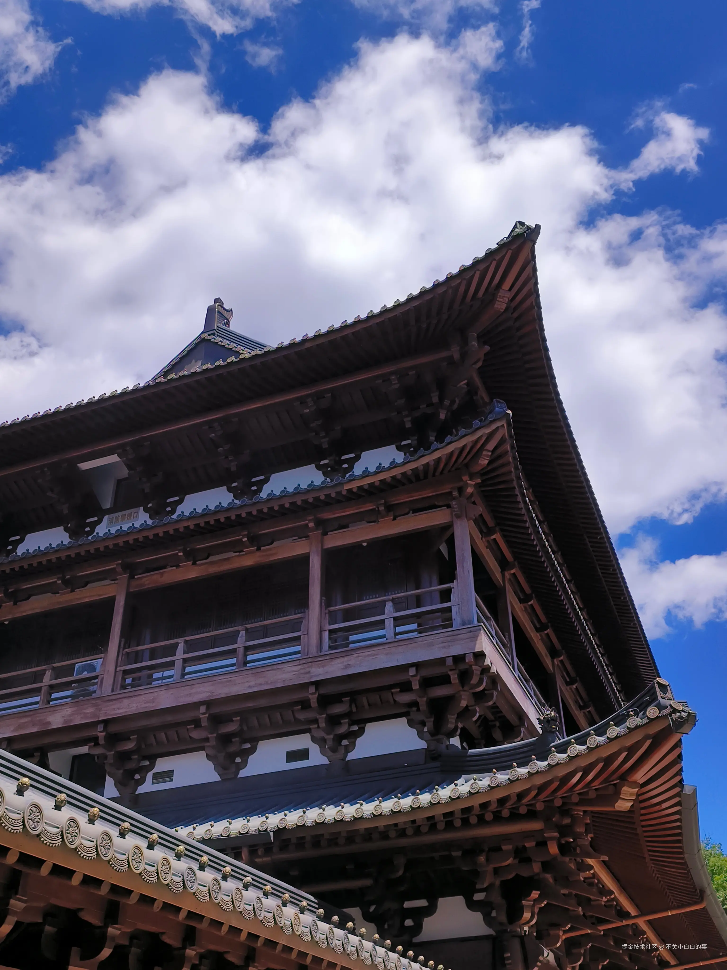 不关小白白的事于2025-08-25 15:39发布的图片