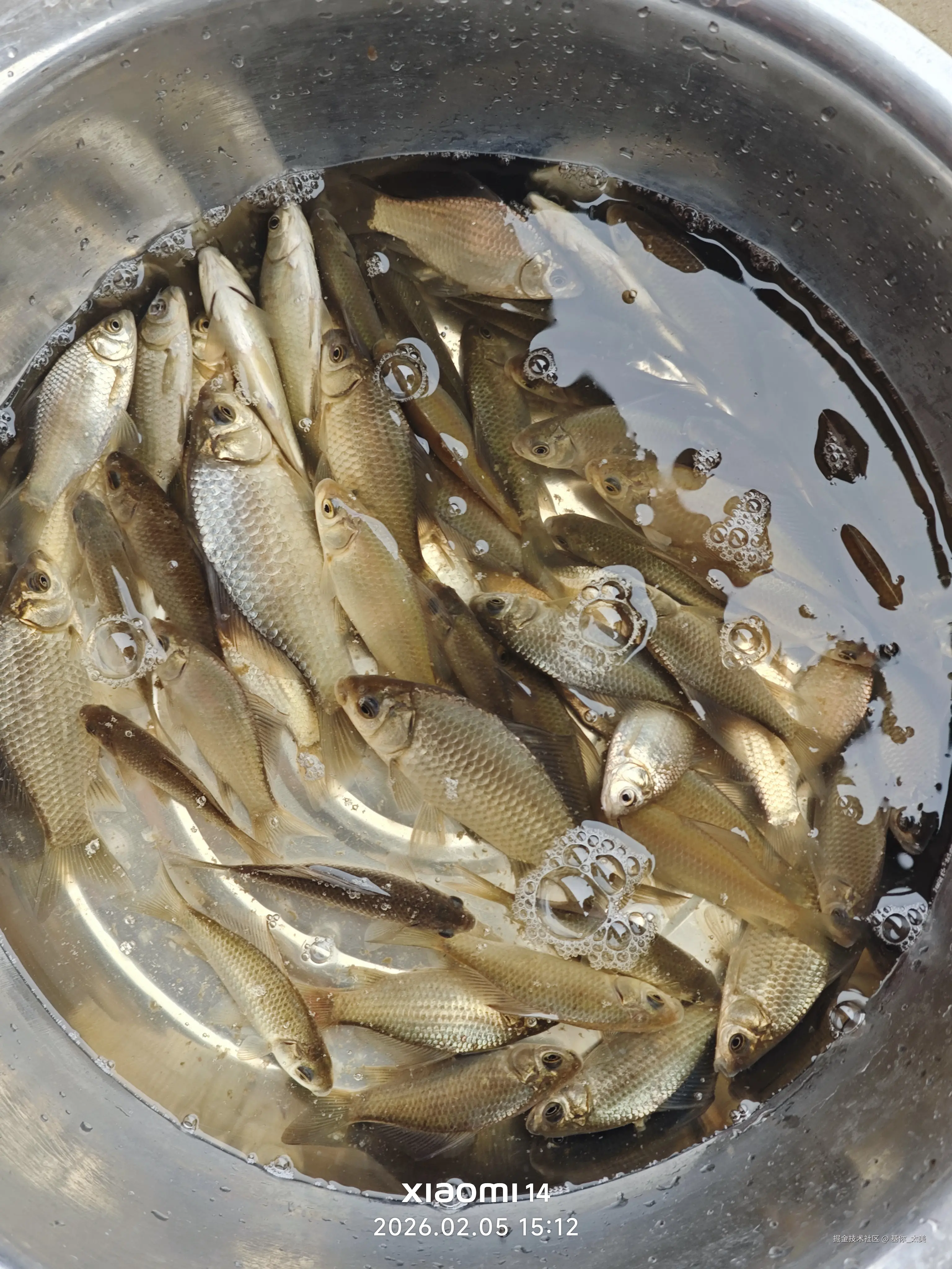 基你_太美于2026-02-05 07:14发布的图片