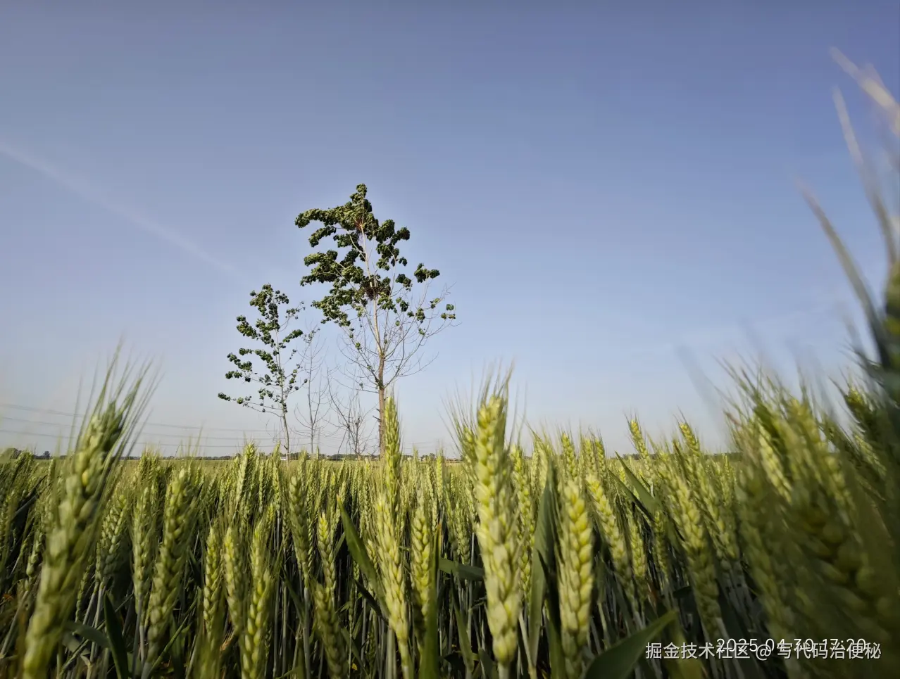 写代码治便秘于2025-05-07 10:57发布的图片