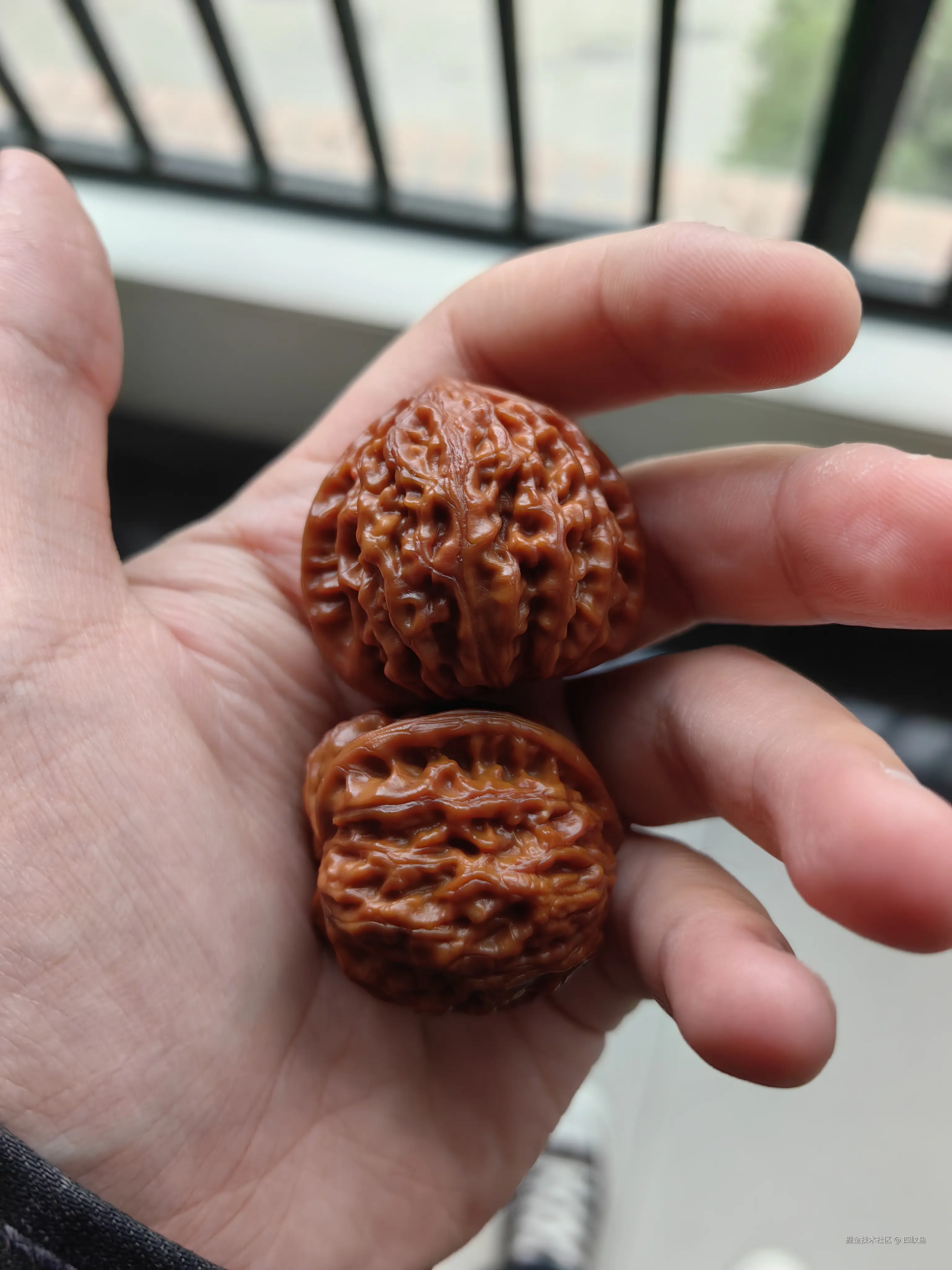 四纹鱼于2024-11-11 17:49发布的图片