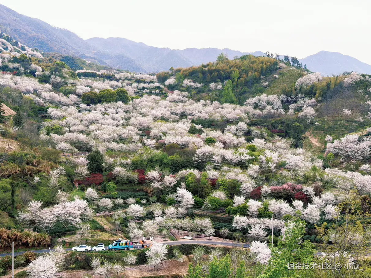 小瓜_于2026-04-07 15:31发布的图片