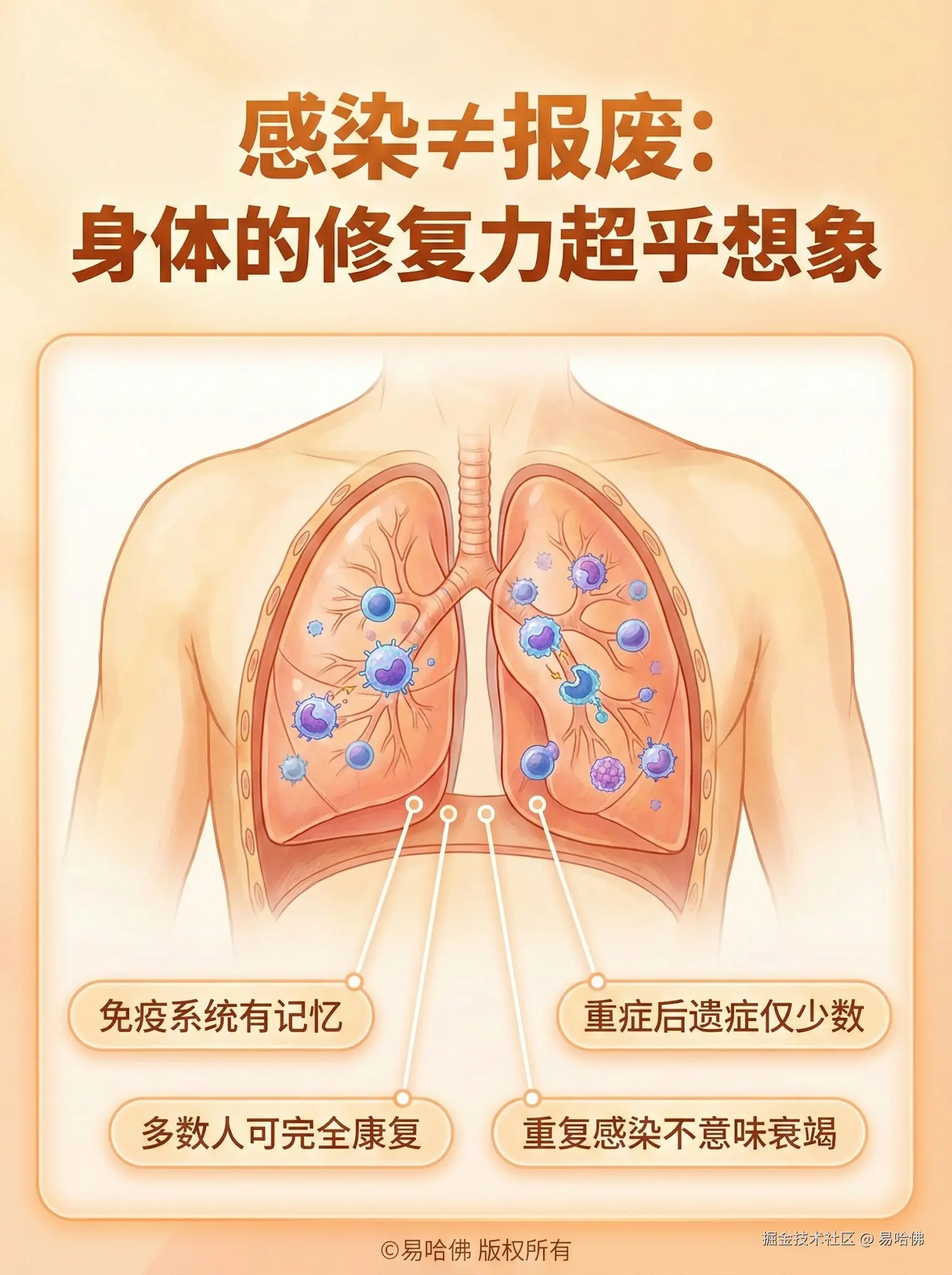 易哈佛于2026-01-02 22:18发布的图片