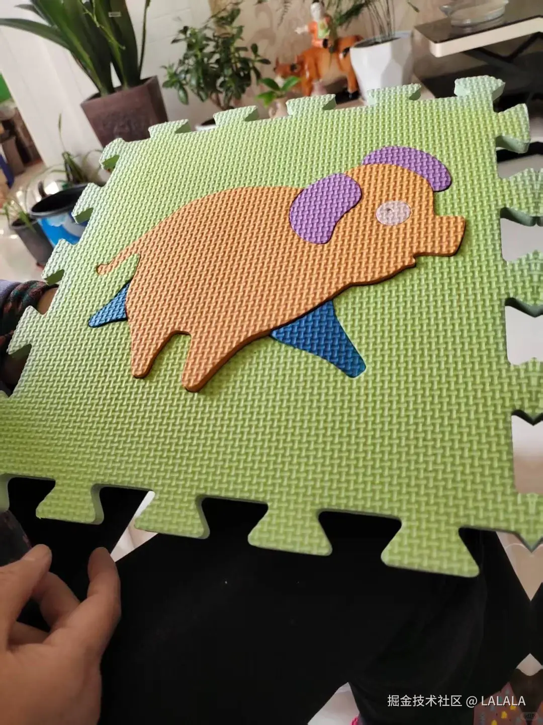 LALALA于2026-04-27 15:36发布的图片