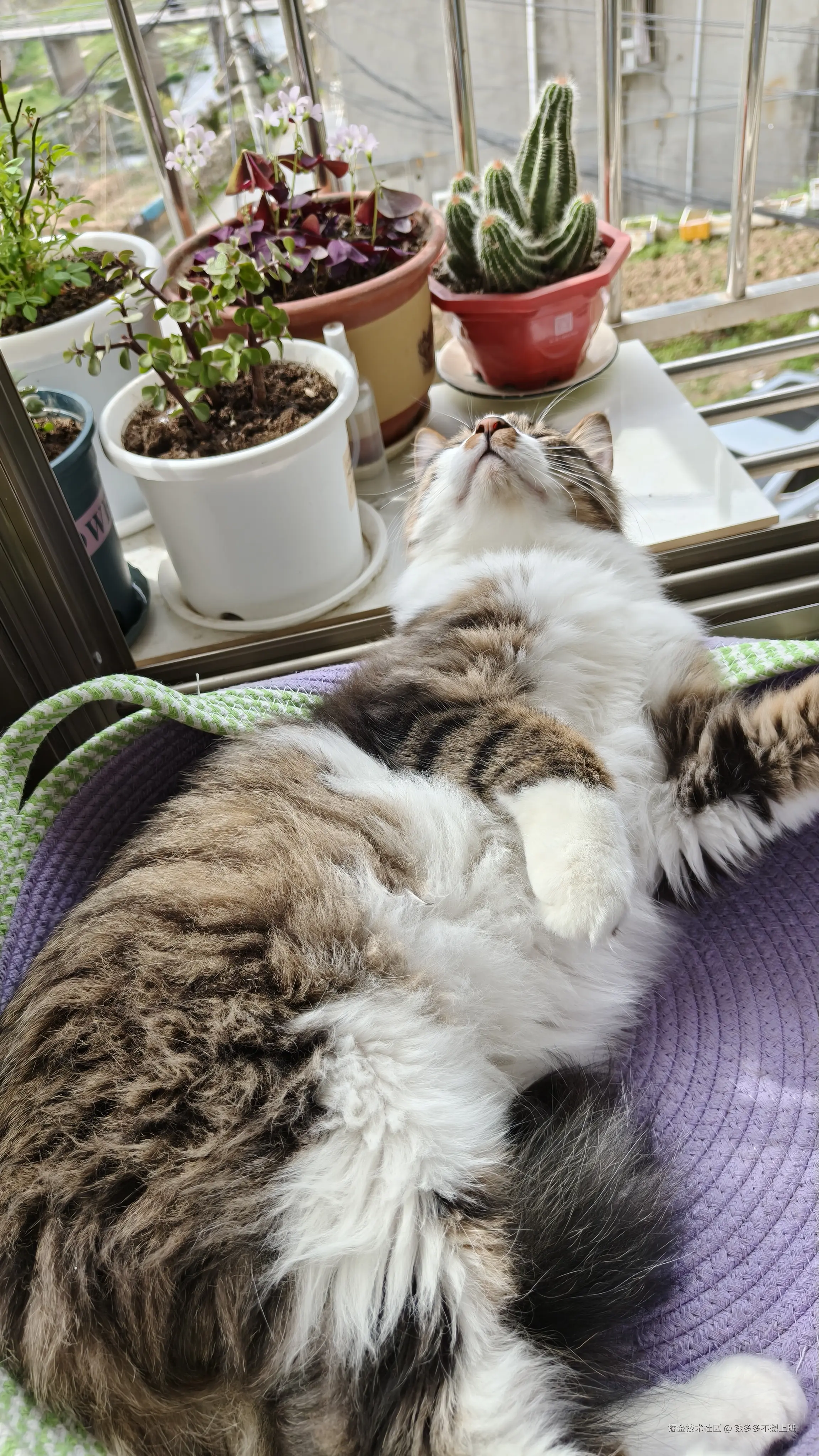 钱多多不想上班于2026-04-07 10:47发布的图片