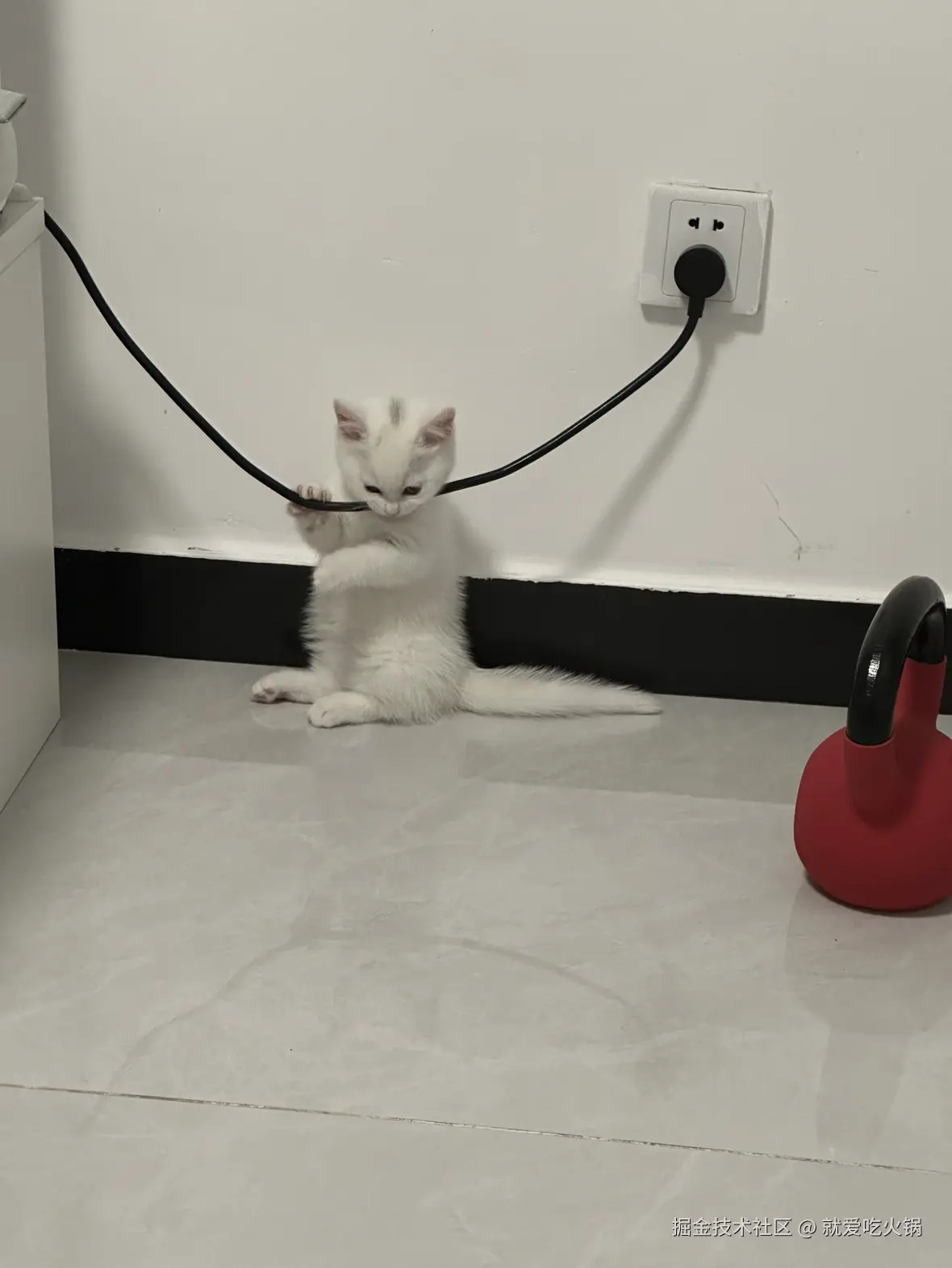 就爱吃火锅于2025-03-06 09:35发布的图片