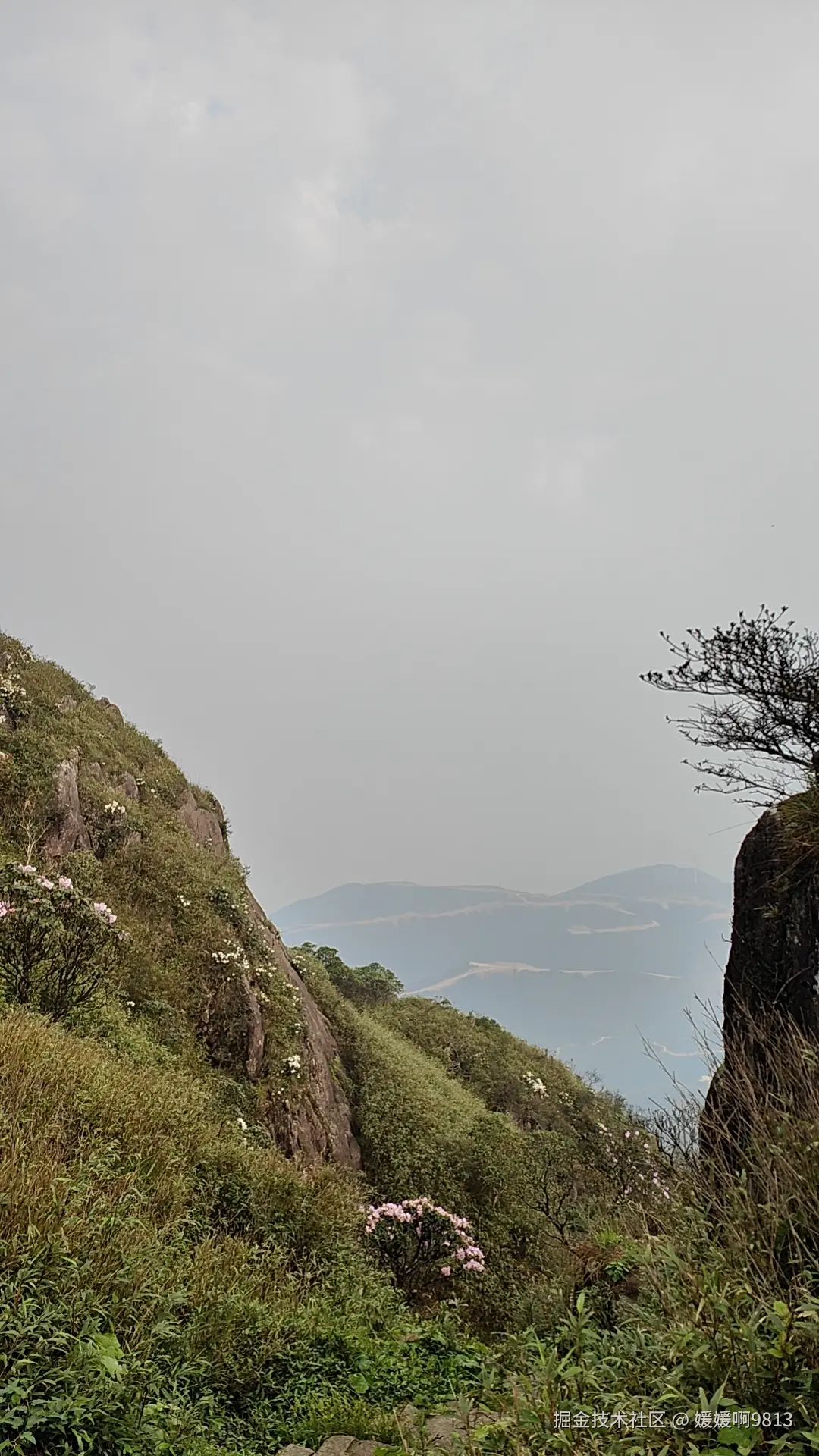 媛媛啊9813于2026-04-14 22:41发布的图片