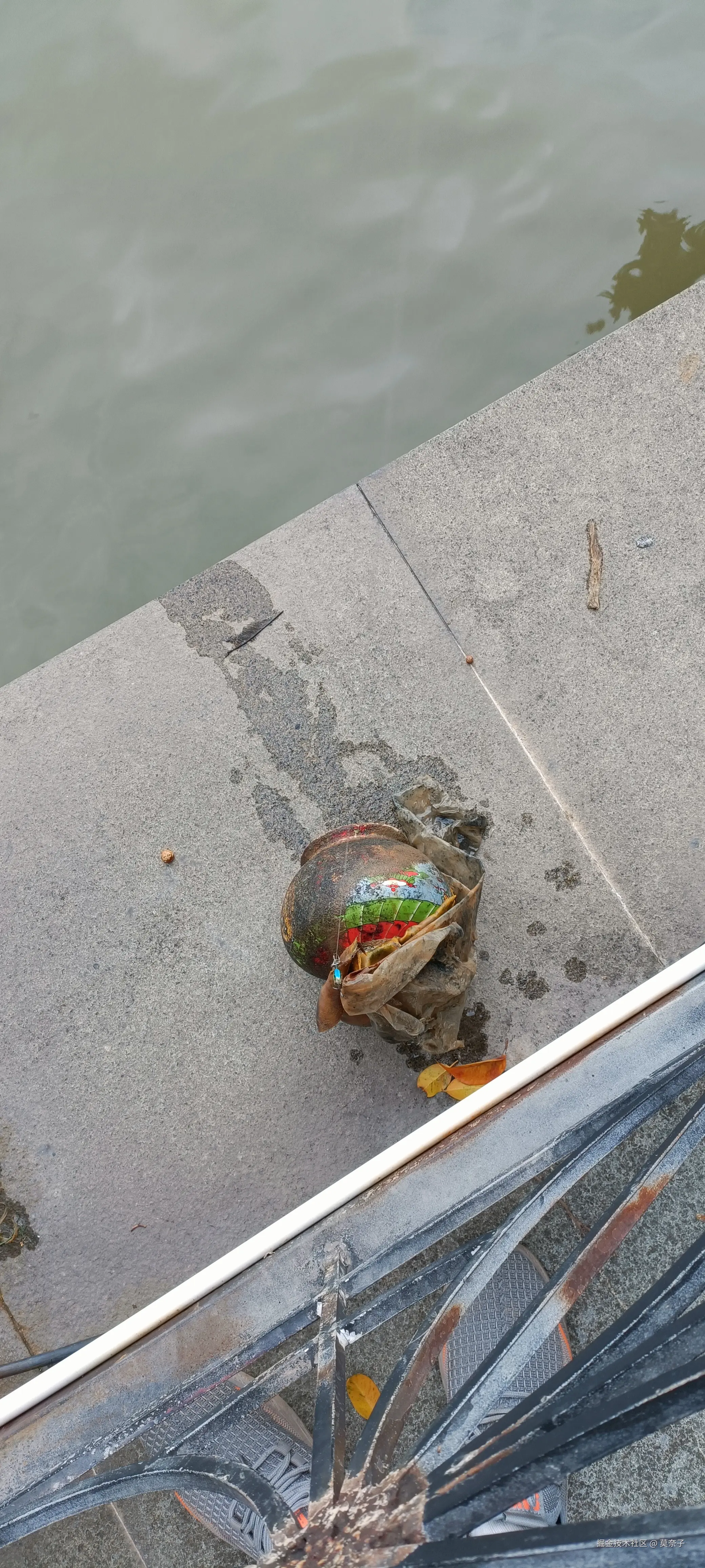 莫奈子于2024-09-08 17:41发布的图片