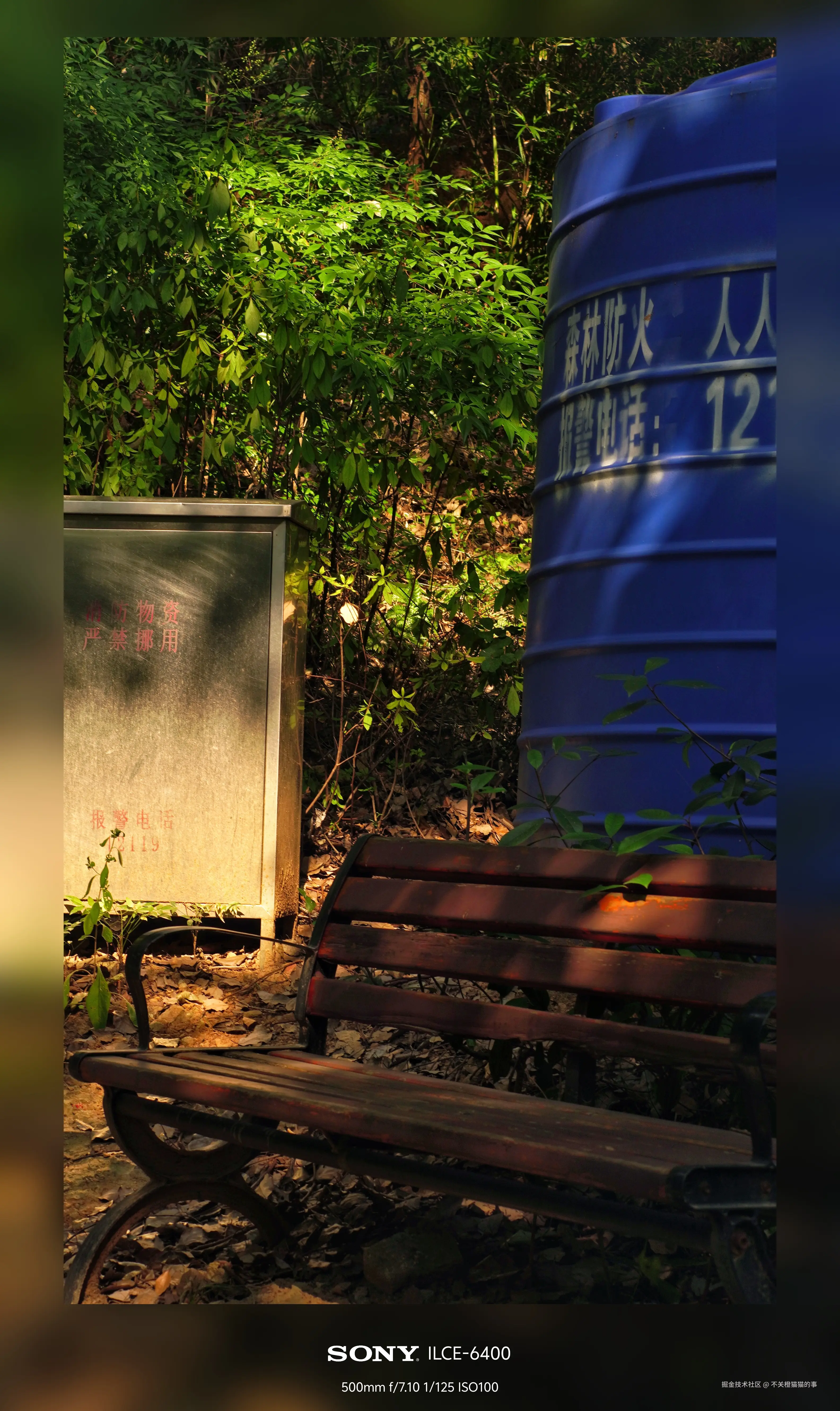 不关橙猫猫的事于2024-08-06 16:58发布的图片