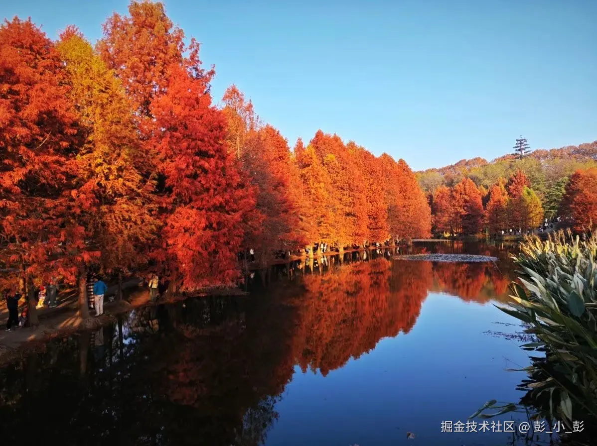 彭_小_彭于2024-11-13 13:14发布的图片