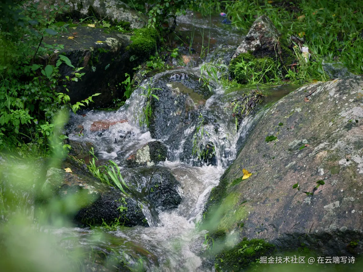 在云端写诗于2025-08-04 10:49发布的图片