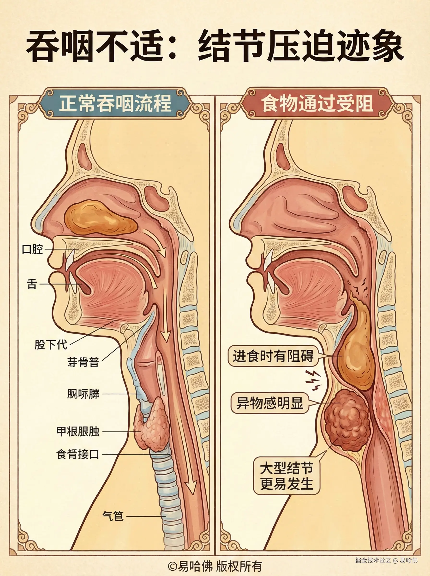 易哈佛于2026-01-05 14:38发布的图片