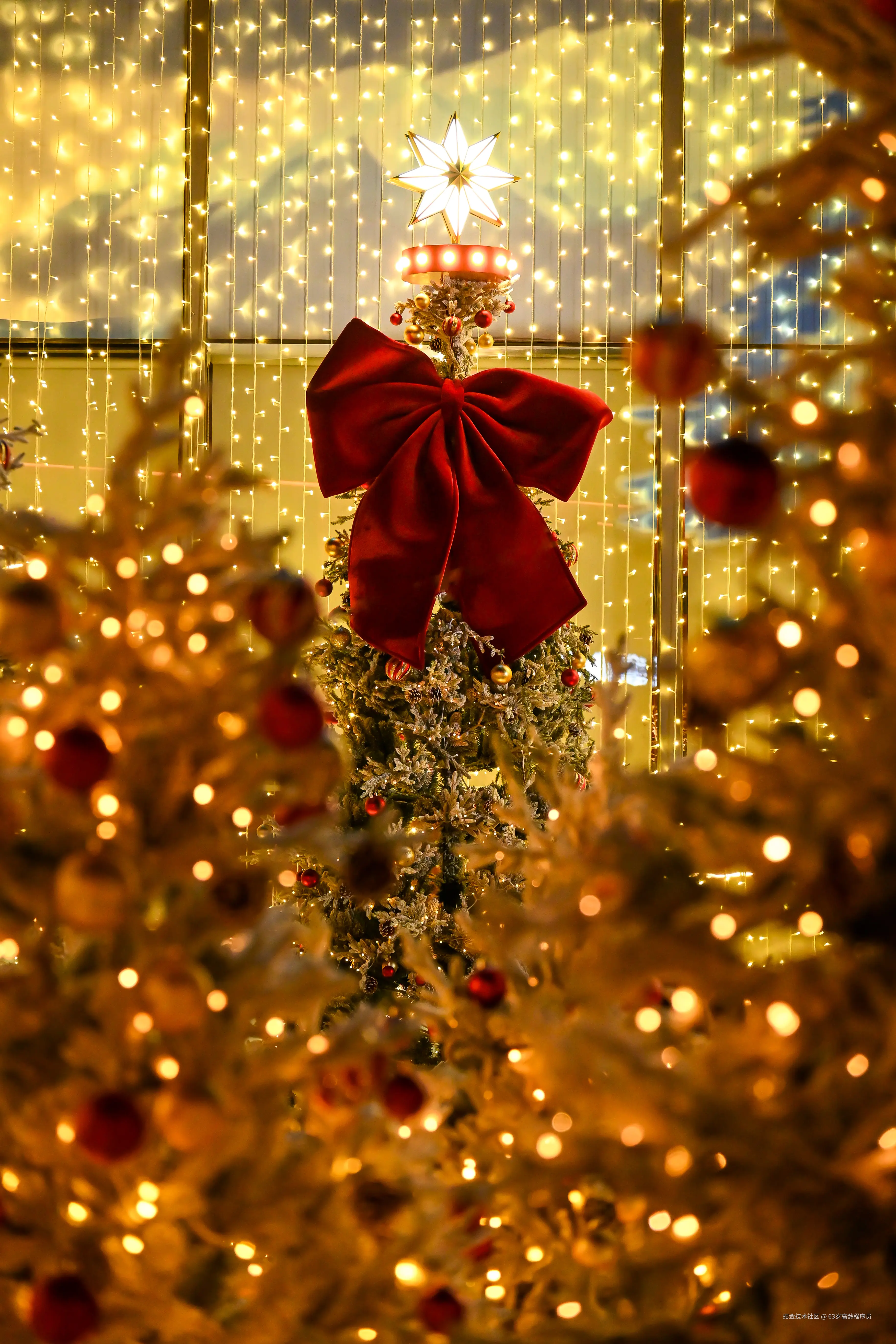 63岁高龄程序员于2025-12-19 01:26发布的图片