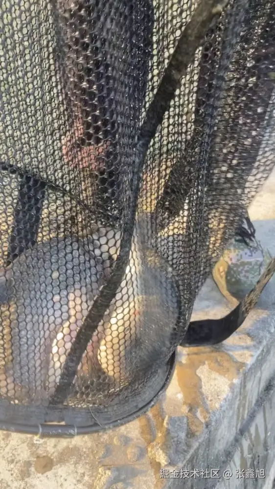 张鑫旭于2025-01-09 10:35发布的图片