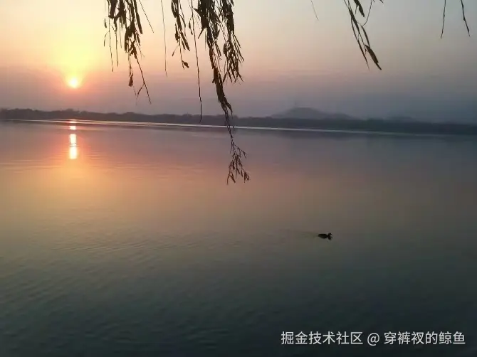 穿裤衩的鲸鱼于2024-11-18 11:28发布的图片