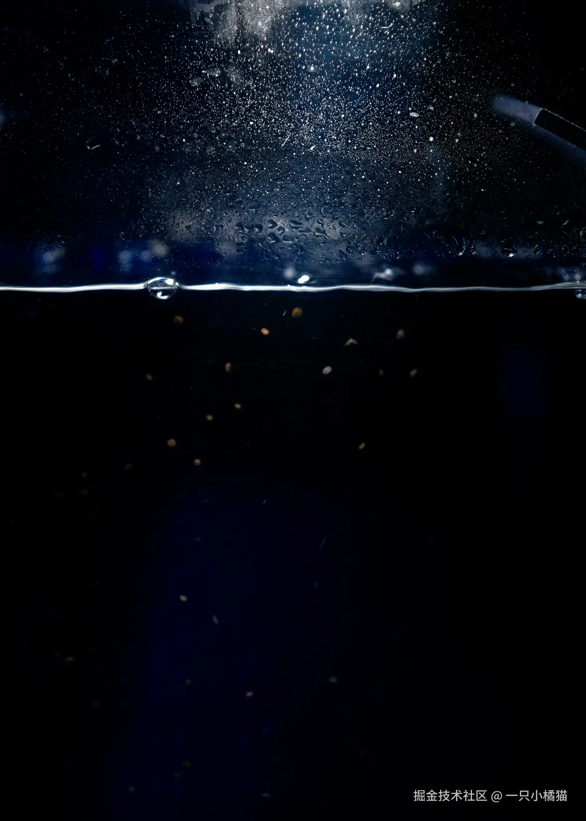 一只小橘猫于2025-04-18 09:39发布的图片