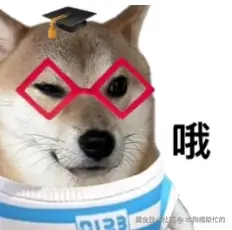 计算机网络