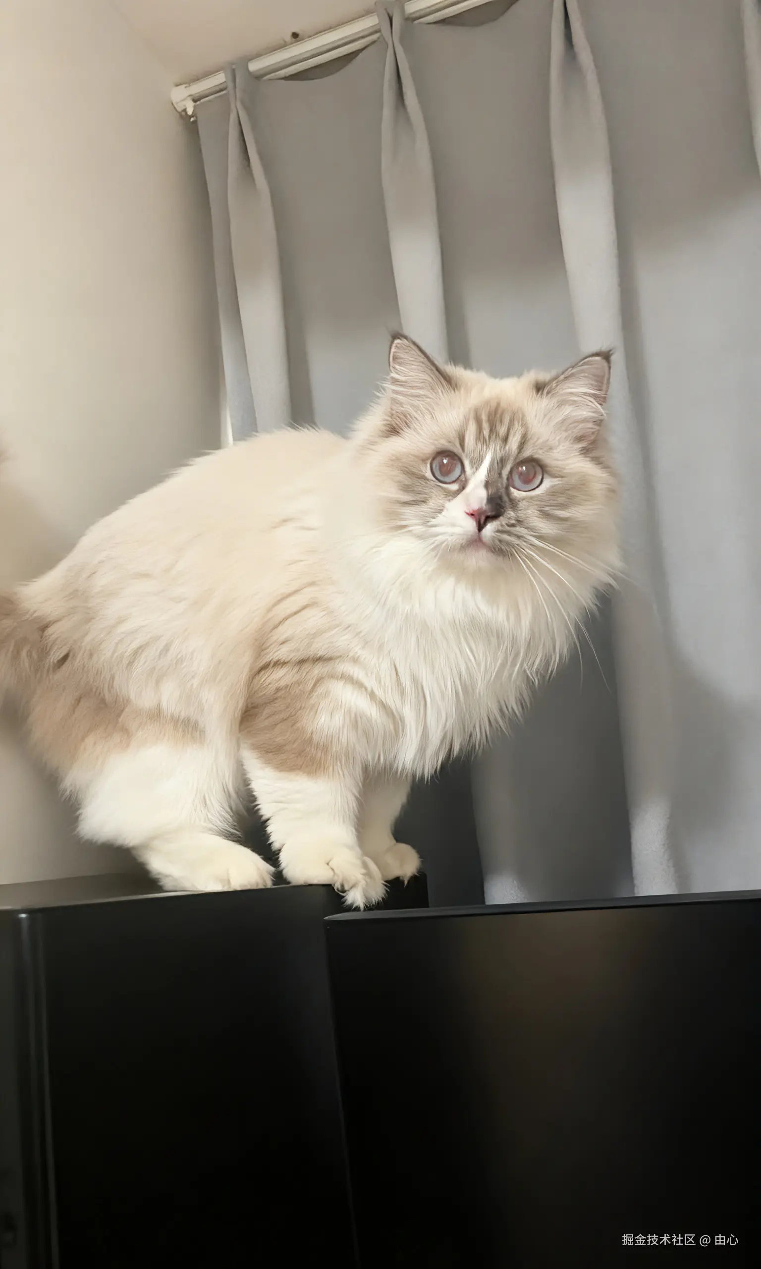 由心于2026-03-10 10:26发布的图片