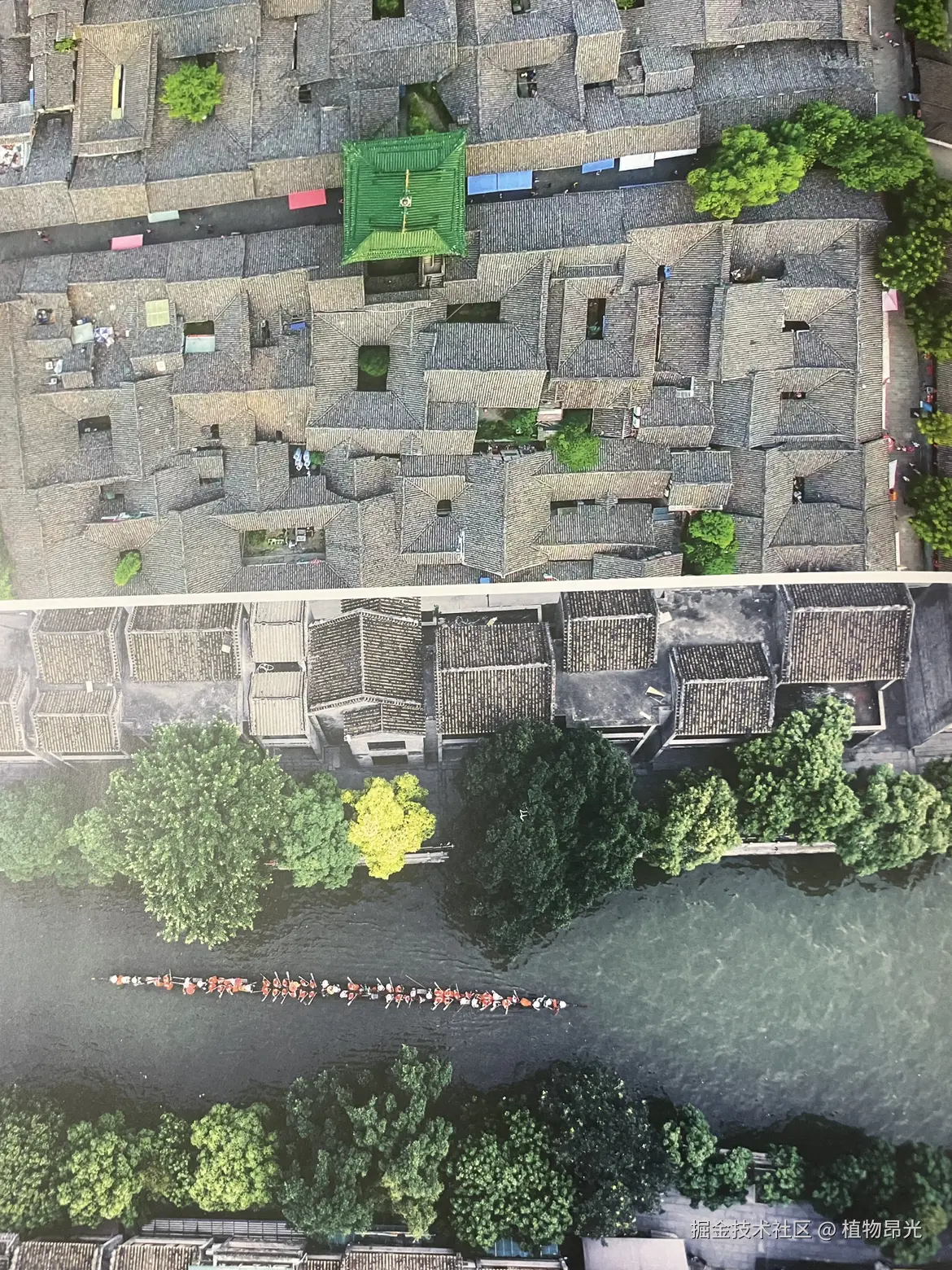 植物昂光于2026-04-30 22:33发布的图片